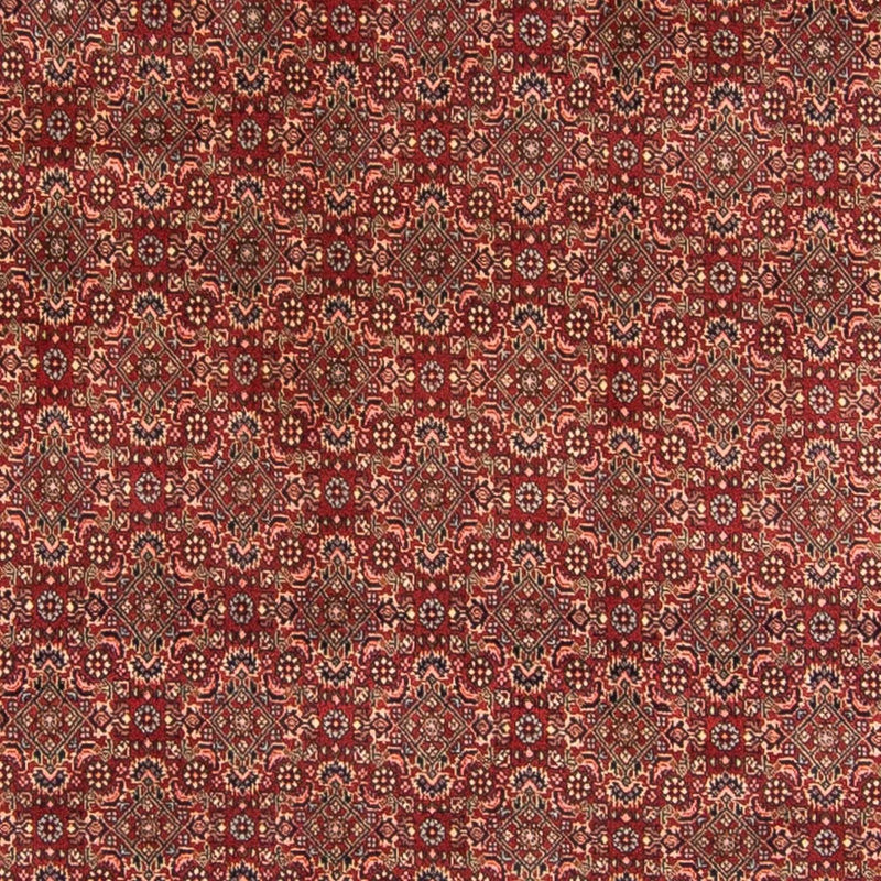 Alfombra persa - Bidjar - 298 x 200 cm - rojo oscuro