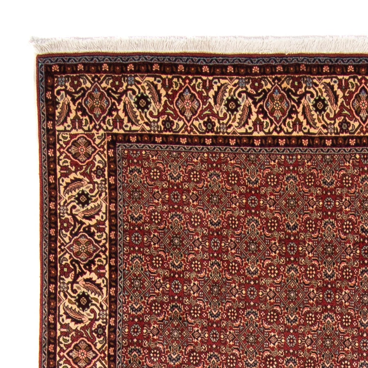 Alfombra persa - Bidjar - 298 x 200 cm - rojo oscuro