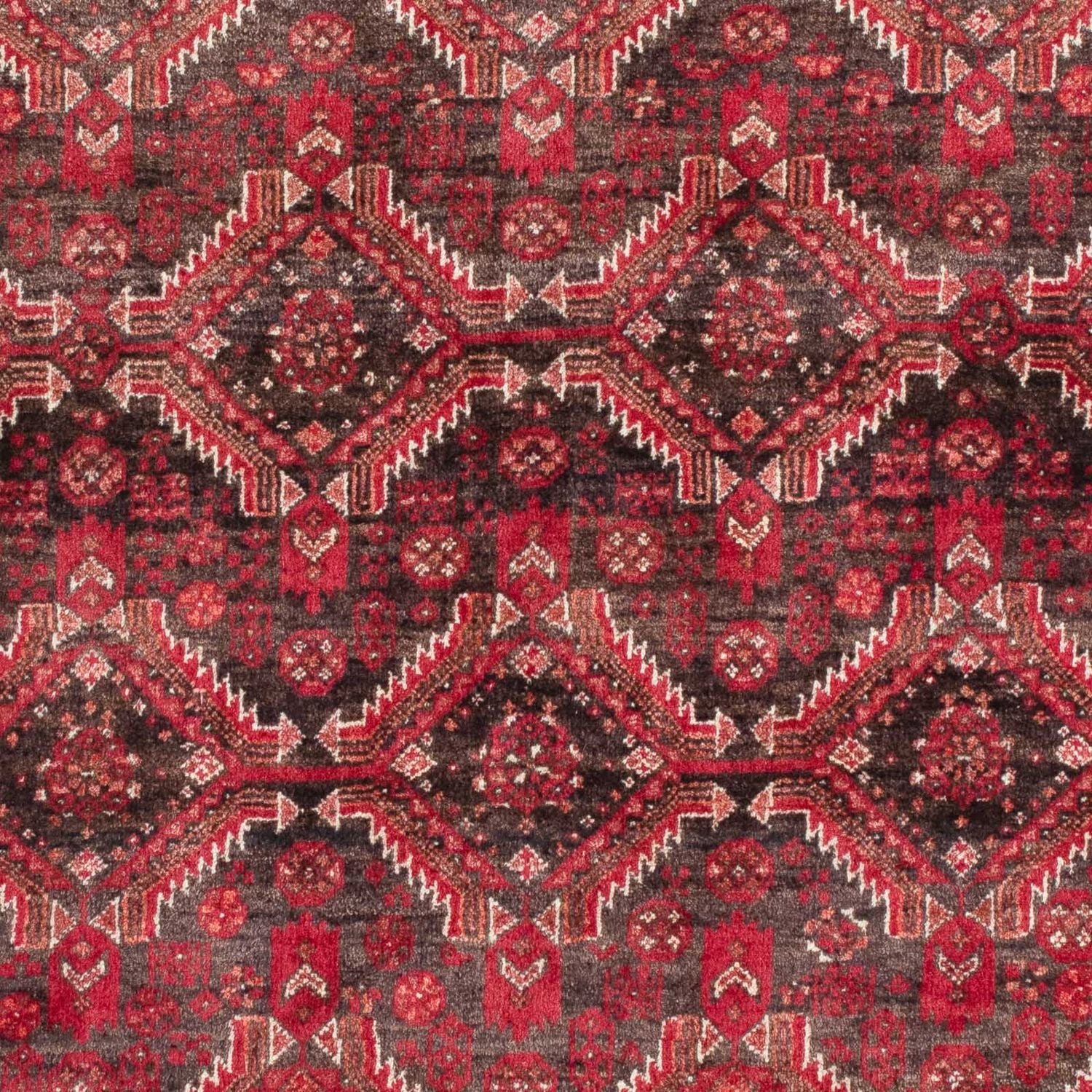 Alfombra de pasillo Alfombra Belutsch - 195 x 99 cm - rojo oscuro