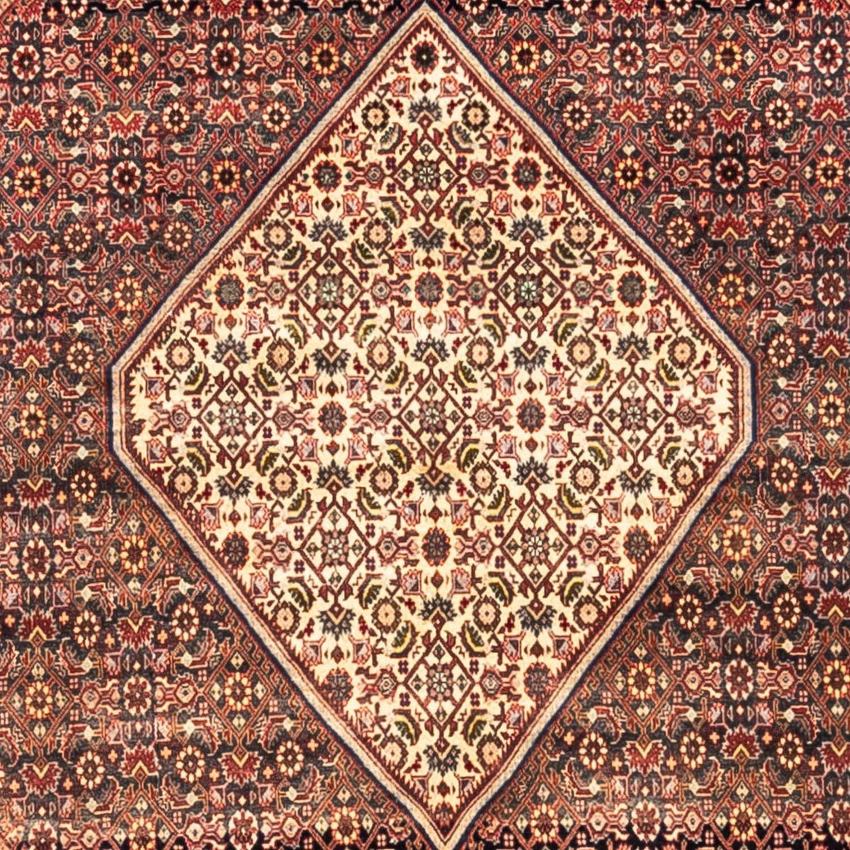 Alfombra persa - Bidjar cuadrado  - 208 x 198 cm - rojo