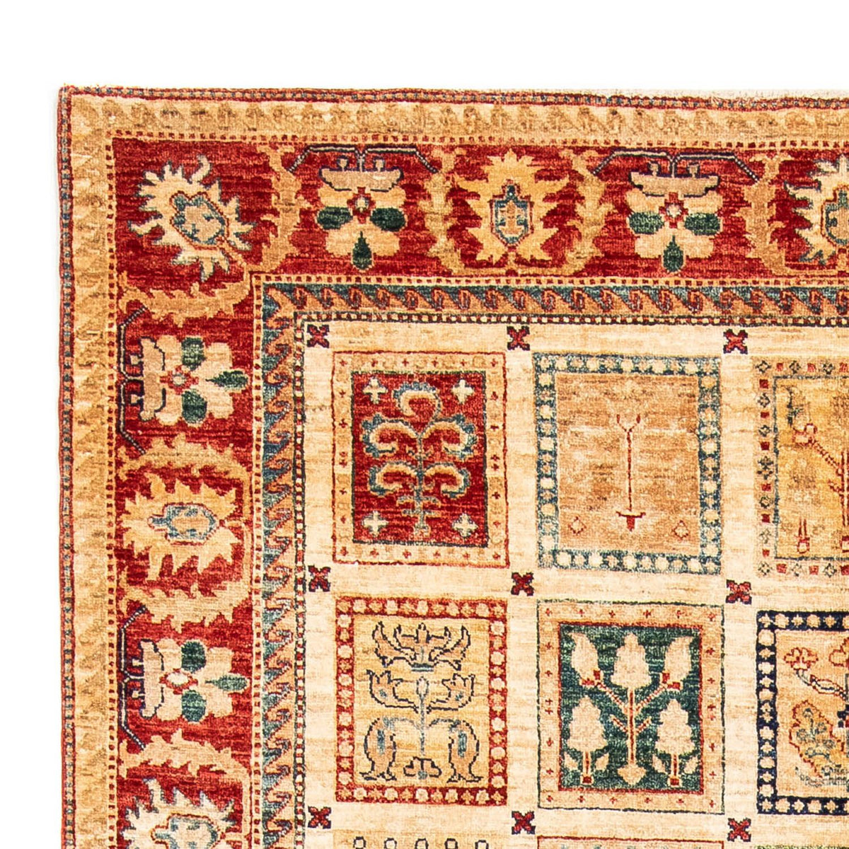 Alfombra Ziegler 172x264cm - Alfombra oriental
