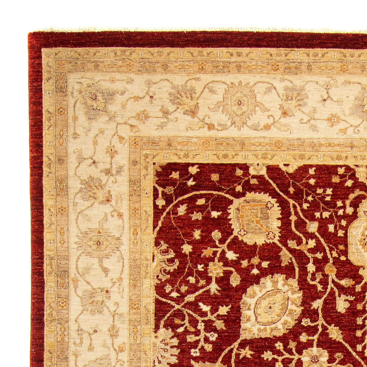 Alfombra Ziegler - 343 x 248 cm - rojo oscuro