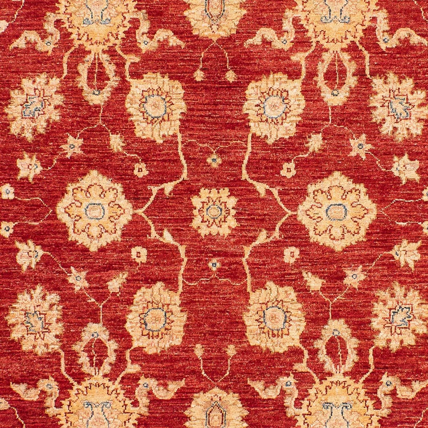 Alfombra Ziegler - 245 x 163 cm - rojo