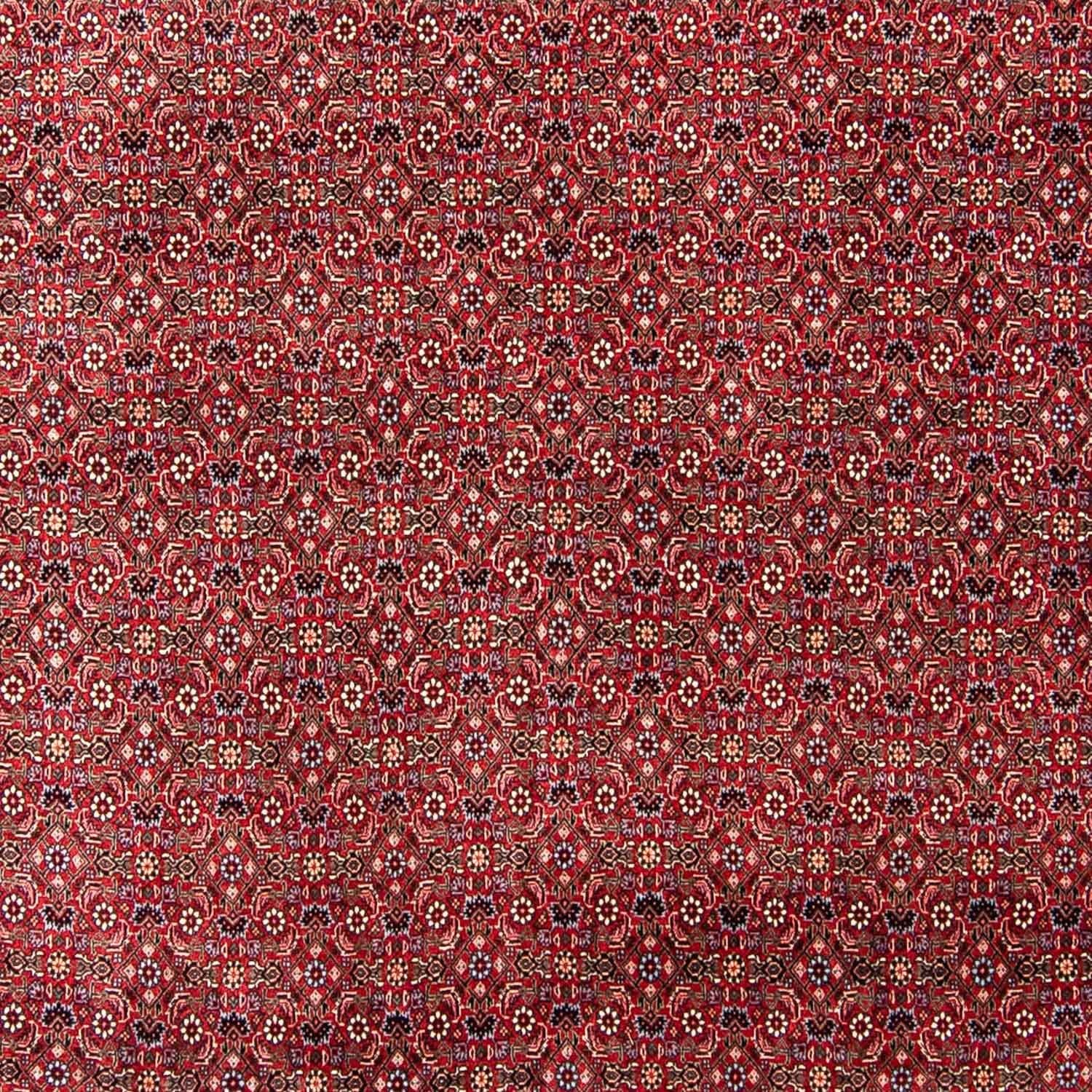 Alfombra persa - Bidjar - 300 x 253 cm - rojo oscuro