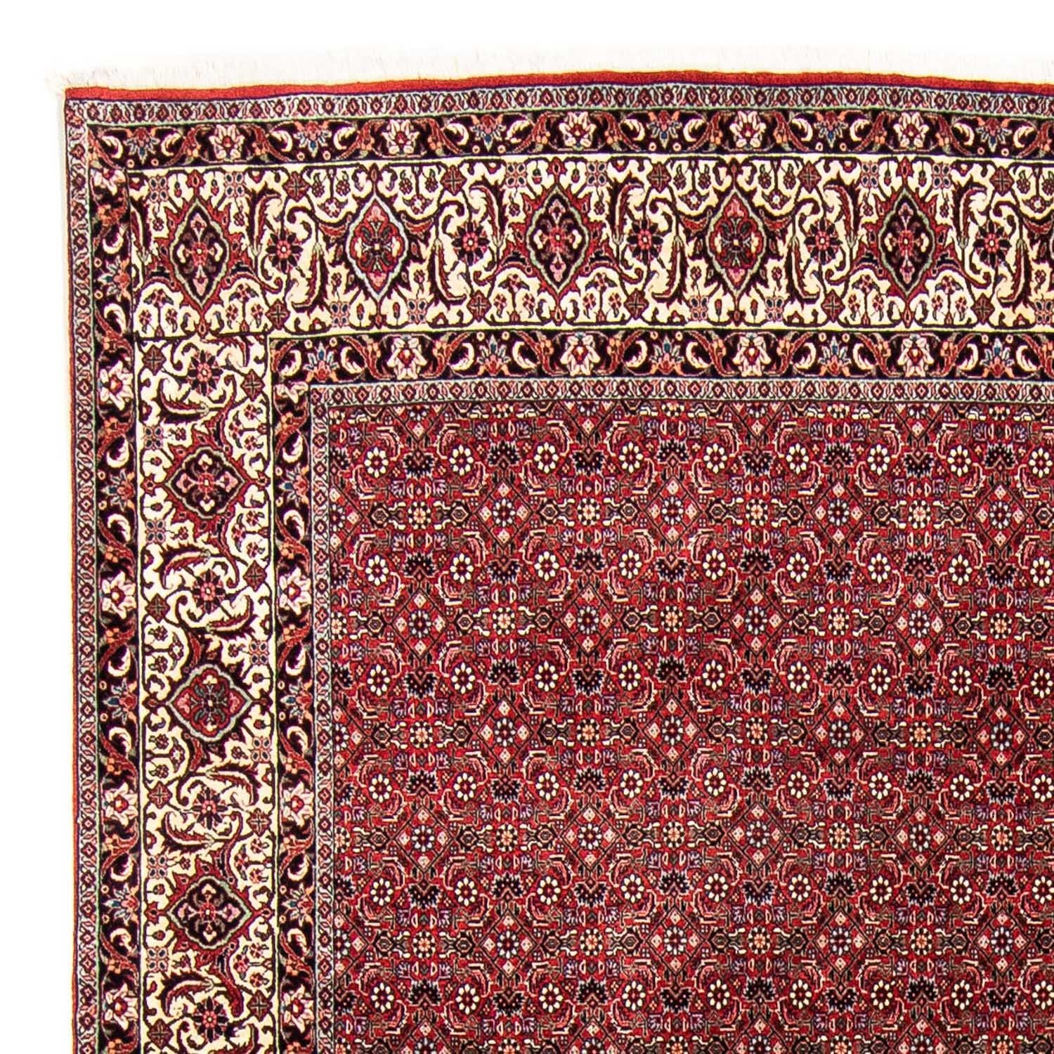 Alfombra persa - Bidjar - 300 x 253 cm - rojo oscuro