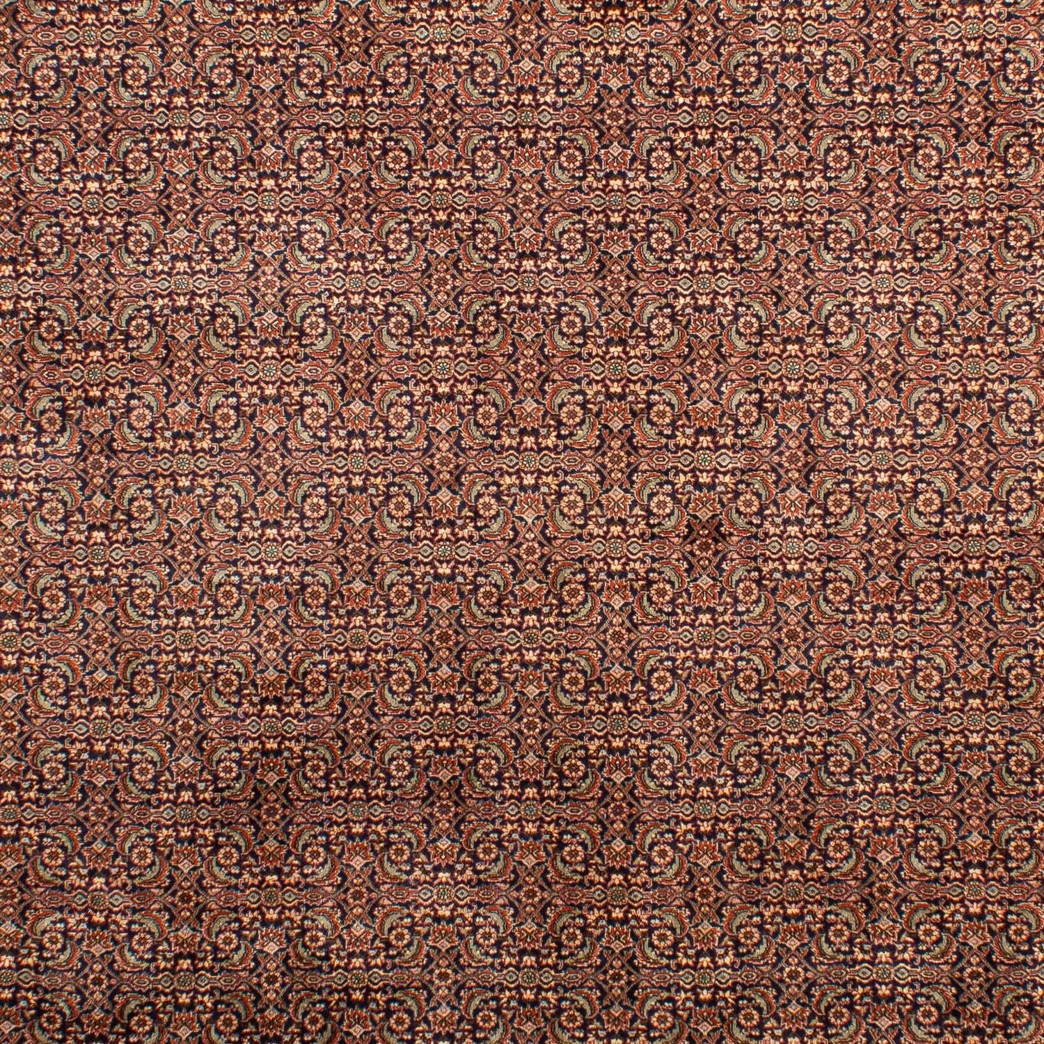 Alfombra persa - Bidjar - 298 x 202 cm - multicolor