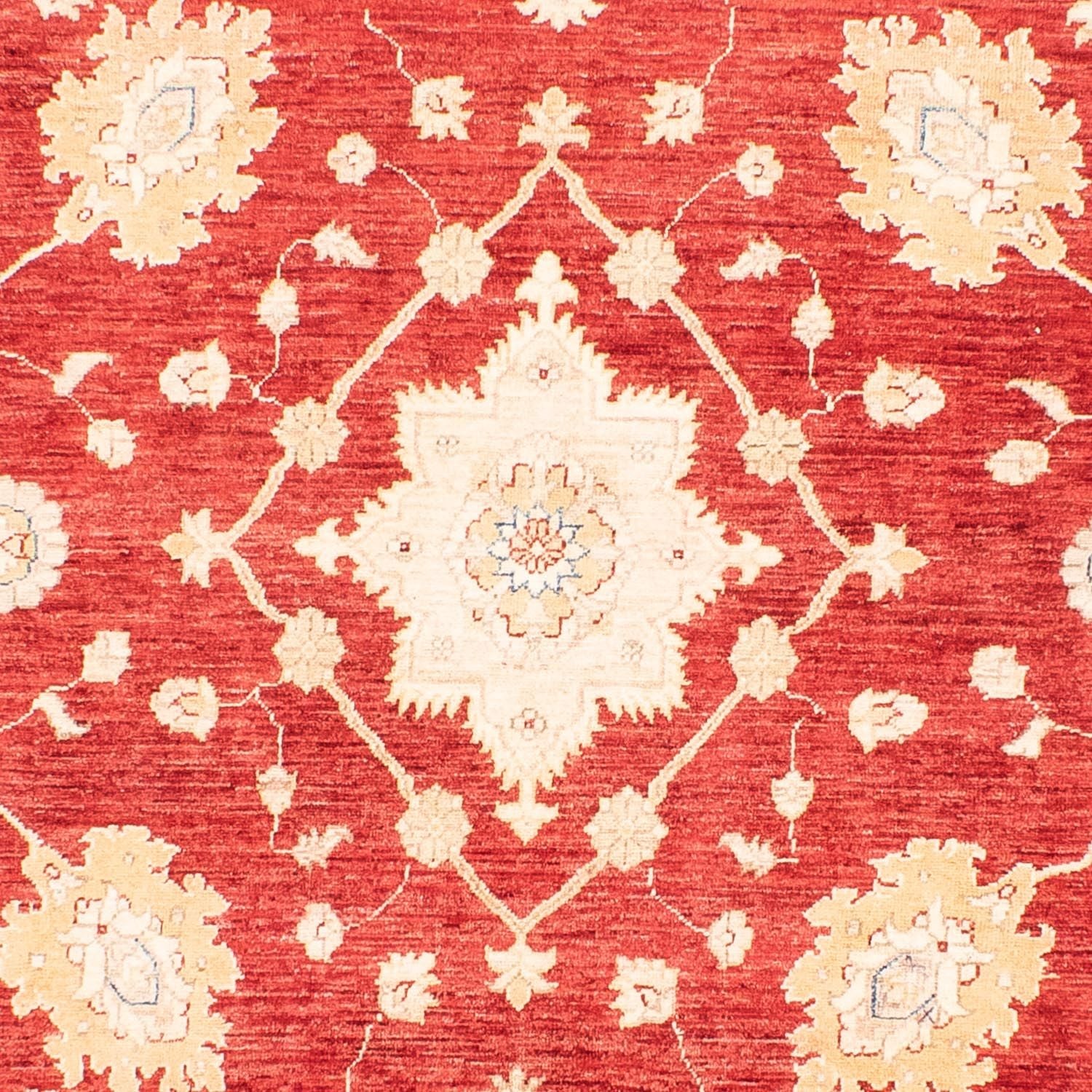 Alfombra Ziegler - 310 x 243 cm - rojo