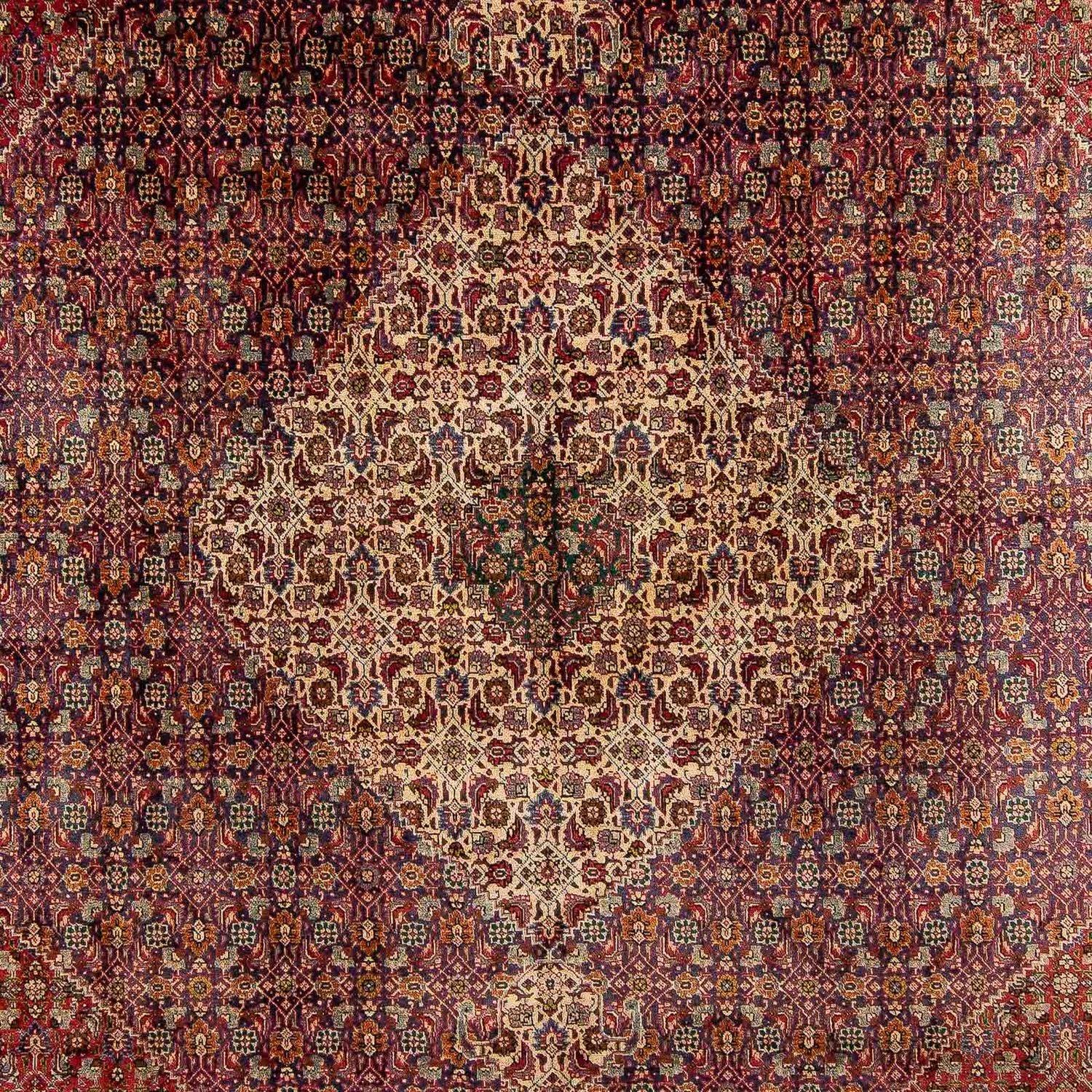 Alfombra persa - Tabriz - 392 x 310 cm - multicolor