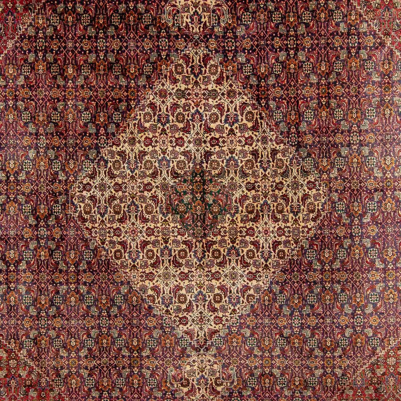 Alfombra persa - Tabriz - 392 x 310 cm - multicolor