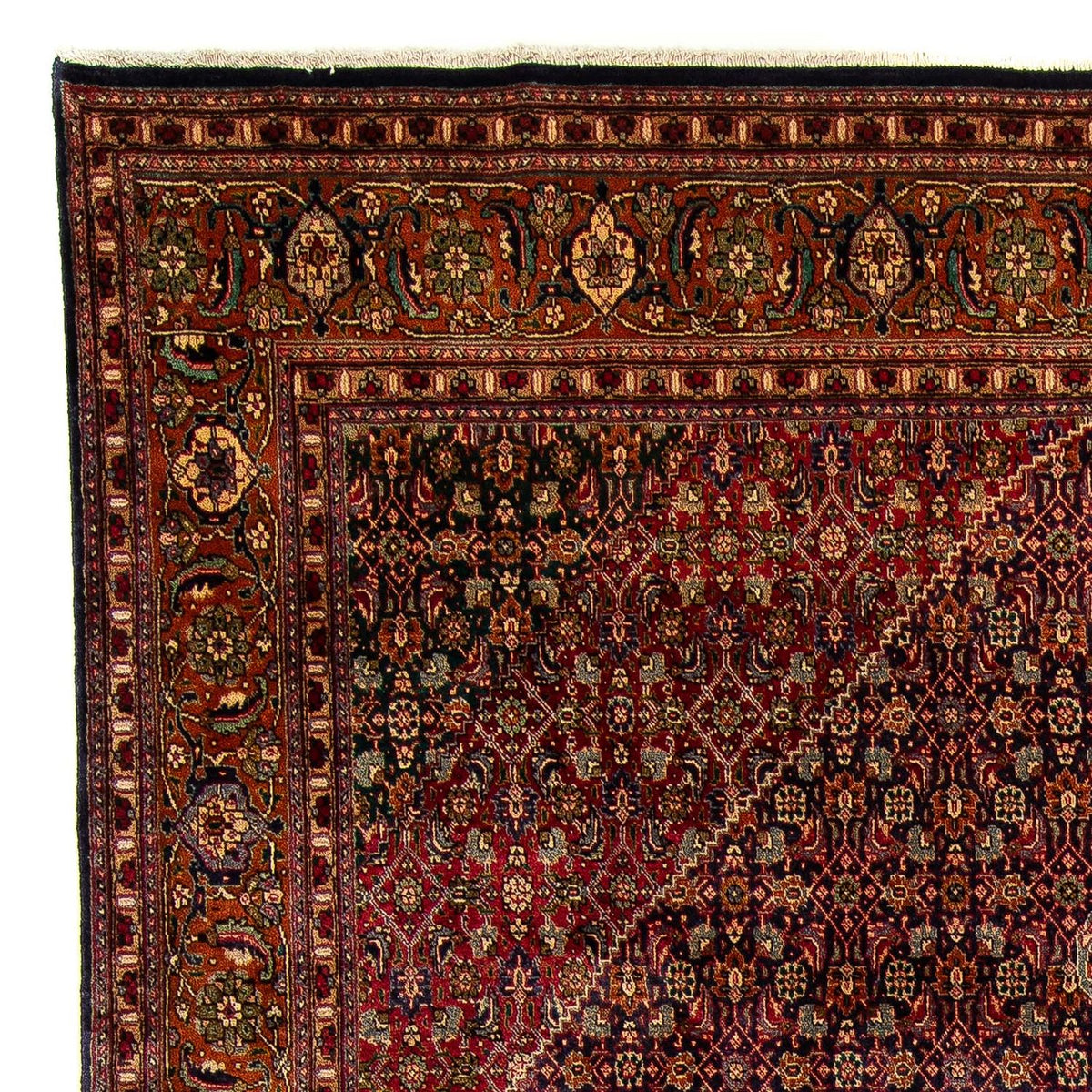 Tabriz Alfombra 310x392cm - Alfombra persa