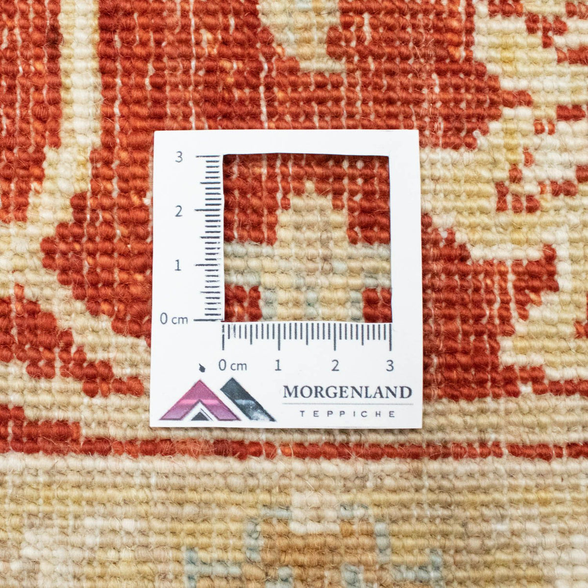 Alfombra Ziegler - 200 x 150 cm - beige