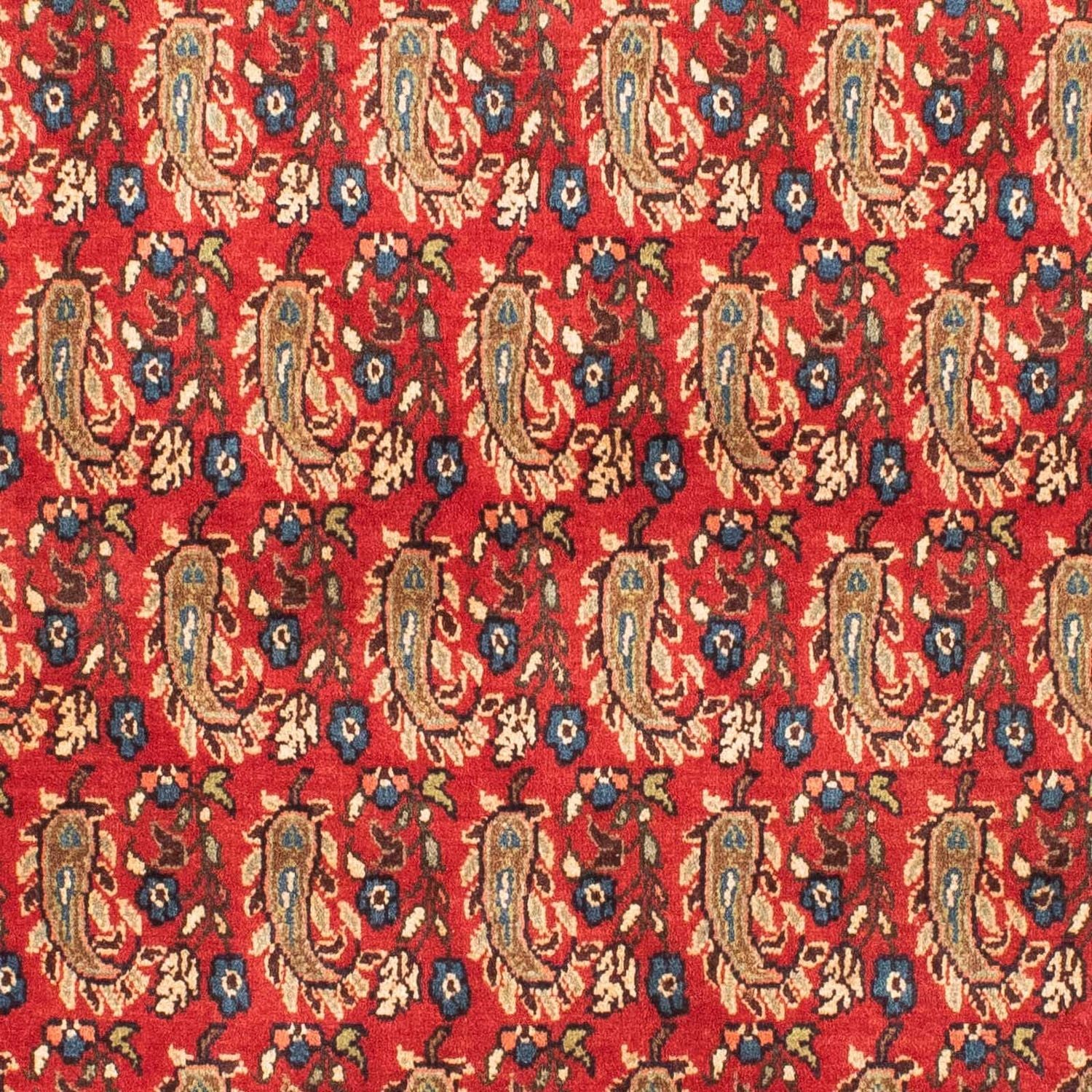 Alfombra persa - Nómada - 160 x 110 cm - rojo oscuro