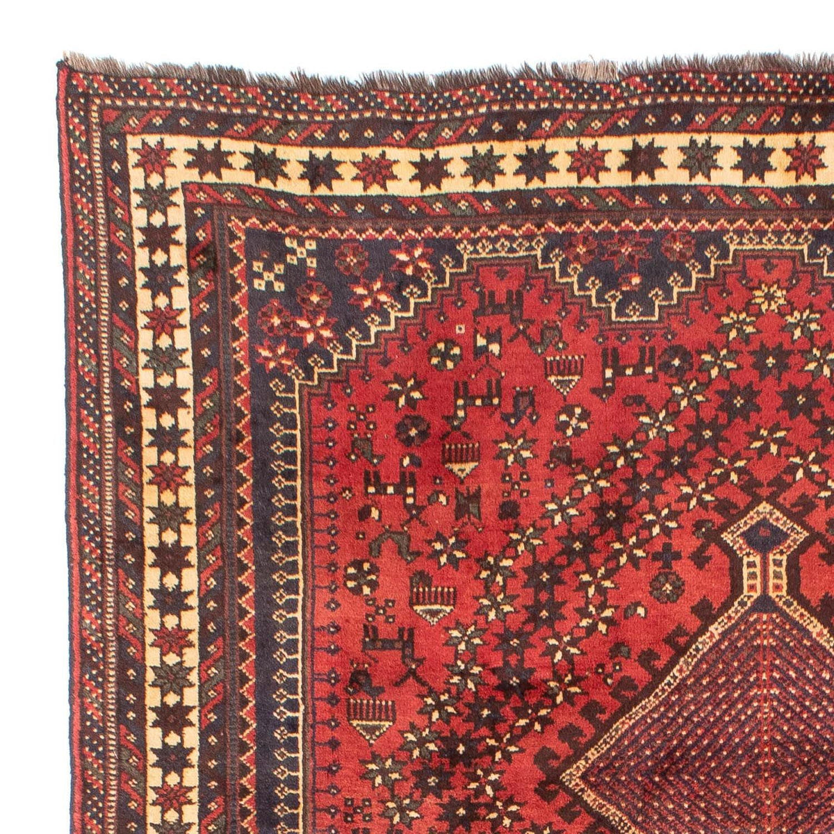Shiraz Alfombra 205x290cm - Alfombra persa