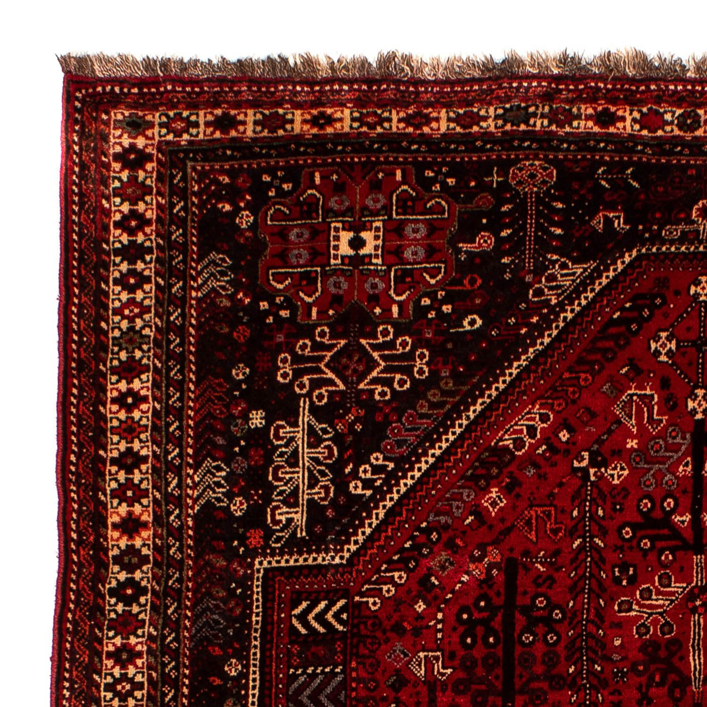Shiraz Alfombra 245x190cm - Alfombra persa