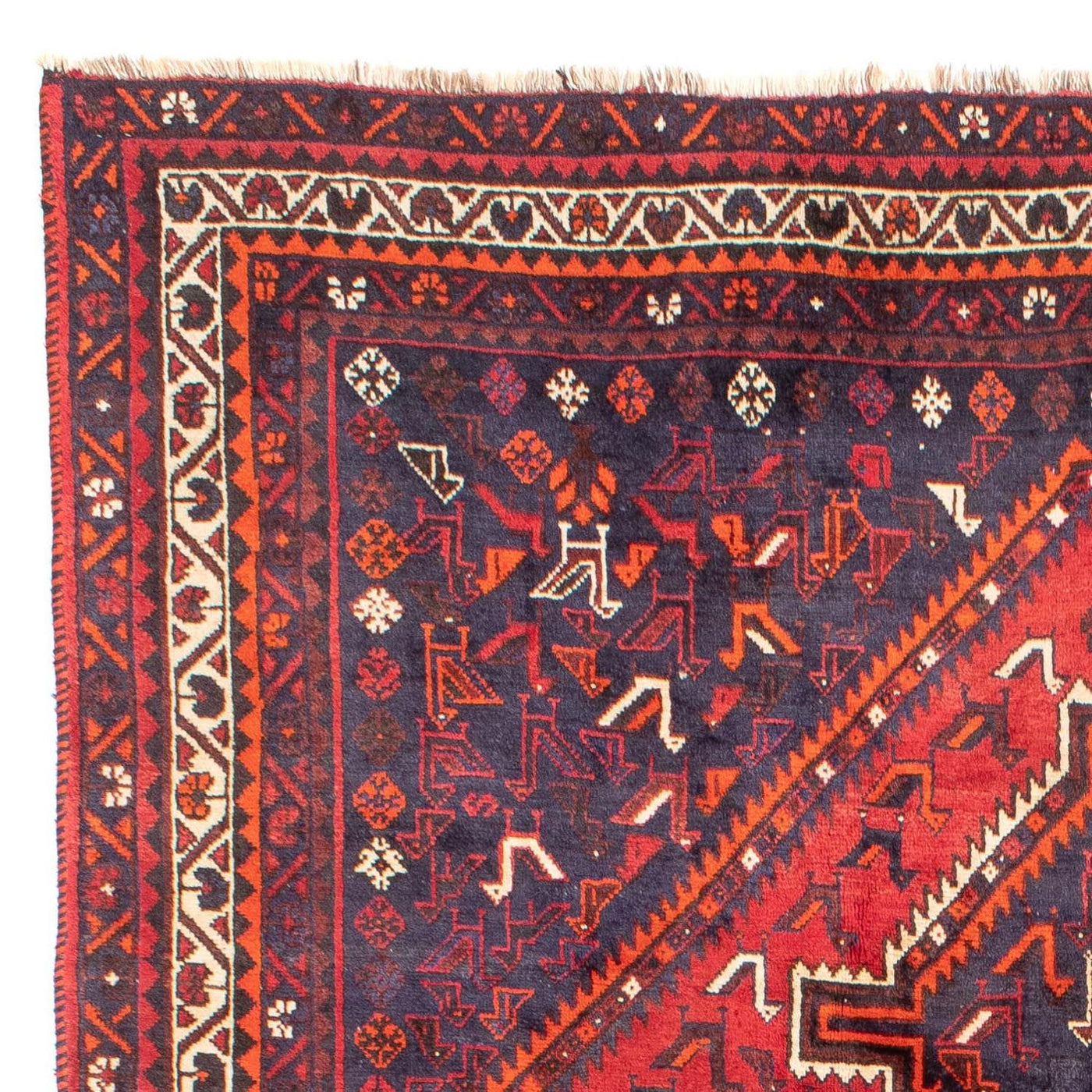 Shiraz Alfombra 300x215cm - Alfombra persa