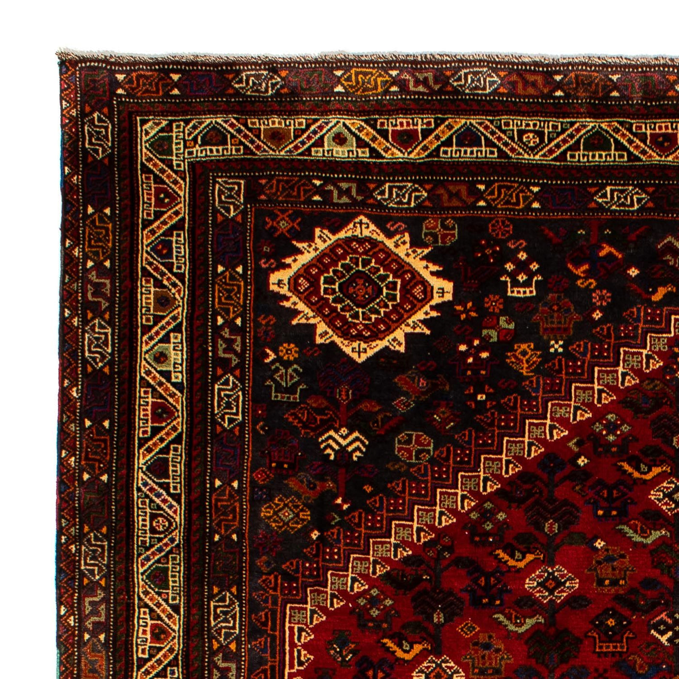 Shiraz Alfombra 295x210cm - Alfombra persa