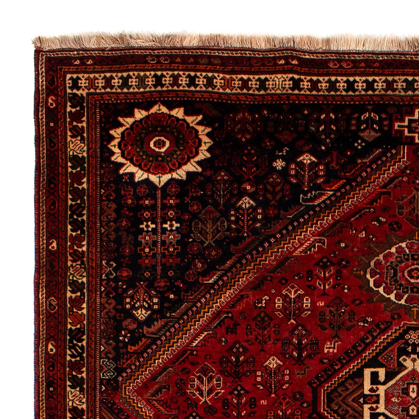 Shiraz Alfombra 322x225cm - Alfombra persa