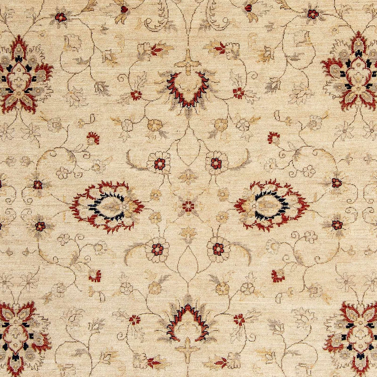 Alfombra Ziegler - 297 x 246 cm - beige