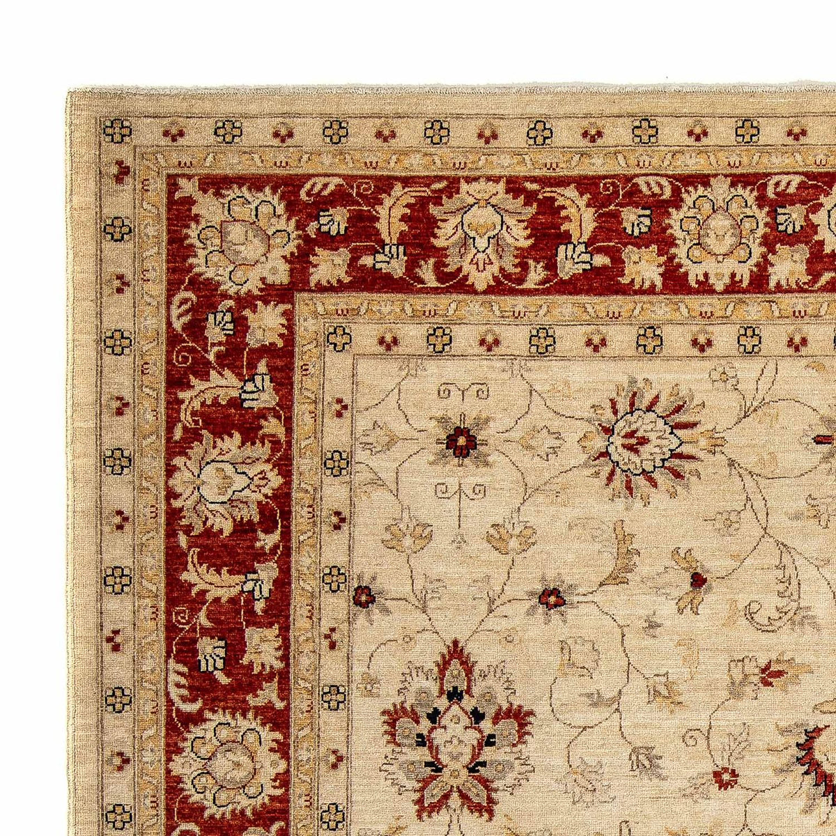 Alfombra Ziegler 246x297cm - Alfombra oriental