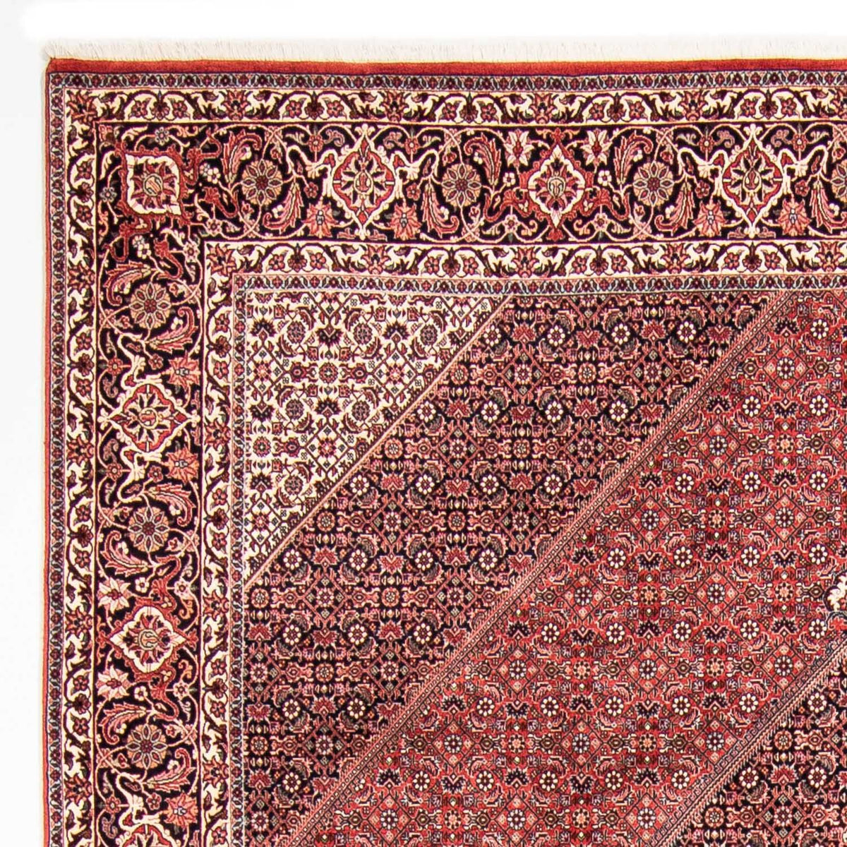 Bidjar Alfombra 250x310cm - Alfombra persa - rojo