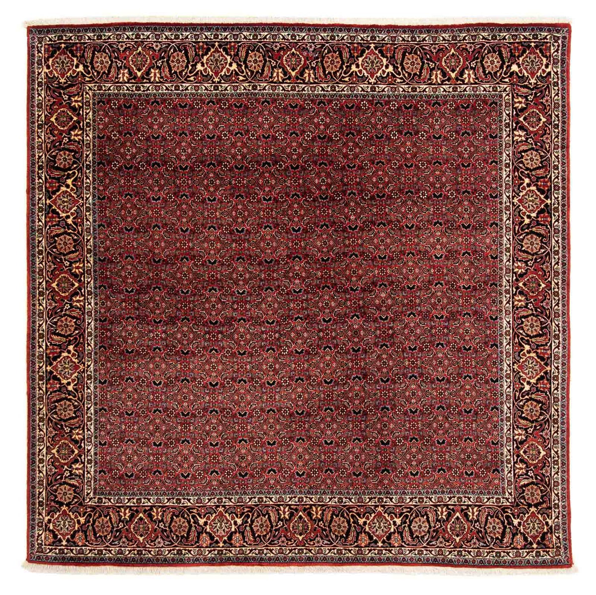 Alfombra persa - Bidjar cuadrado  - 200 x 197 cm - rojo oscuro