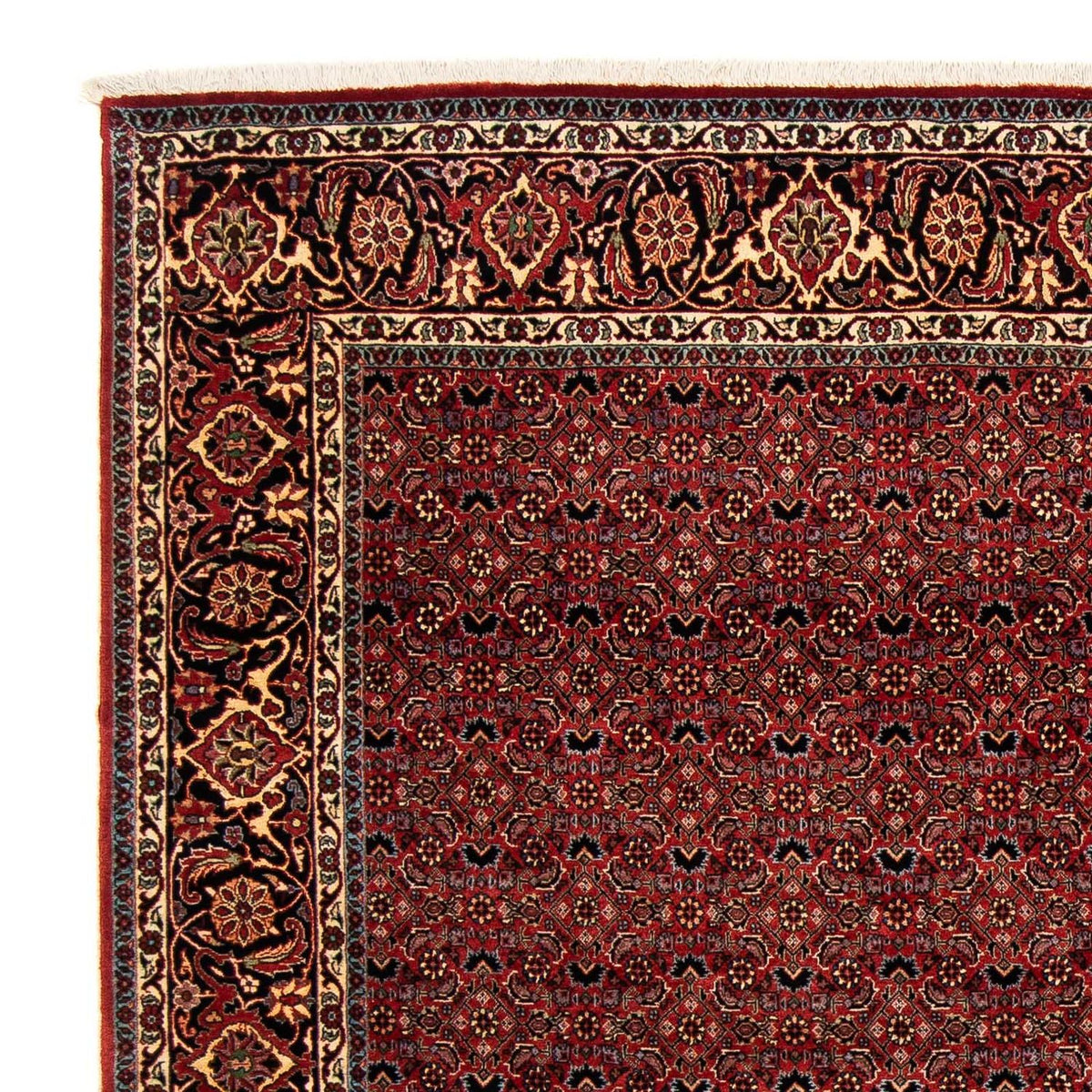 Alfombra persa - Bidjar cuadrado  - 200 x 197 cm - rojo oscuro