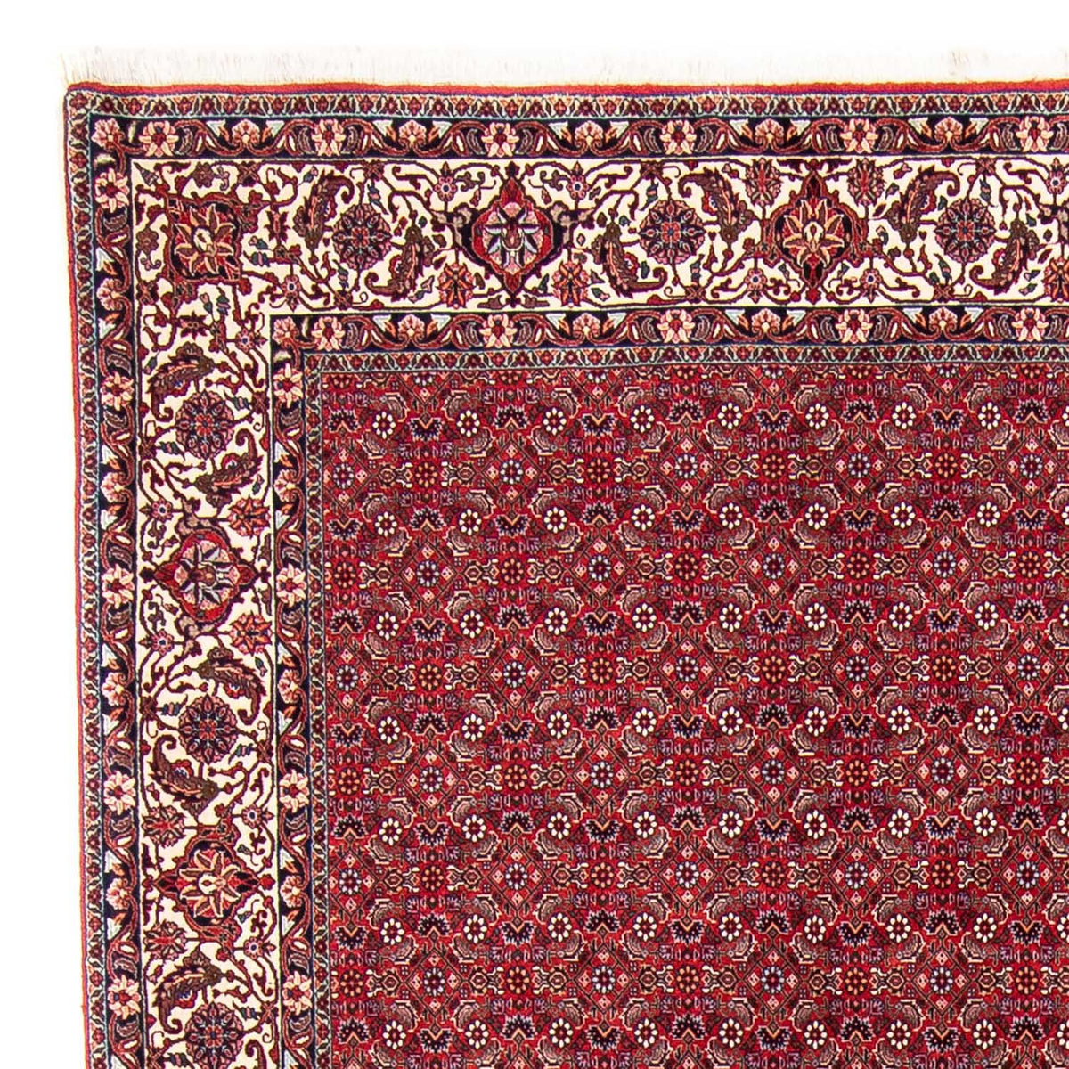 Alfombra persa - Bidjar - 297 x 247 cm - rojo