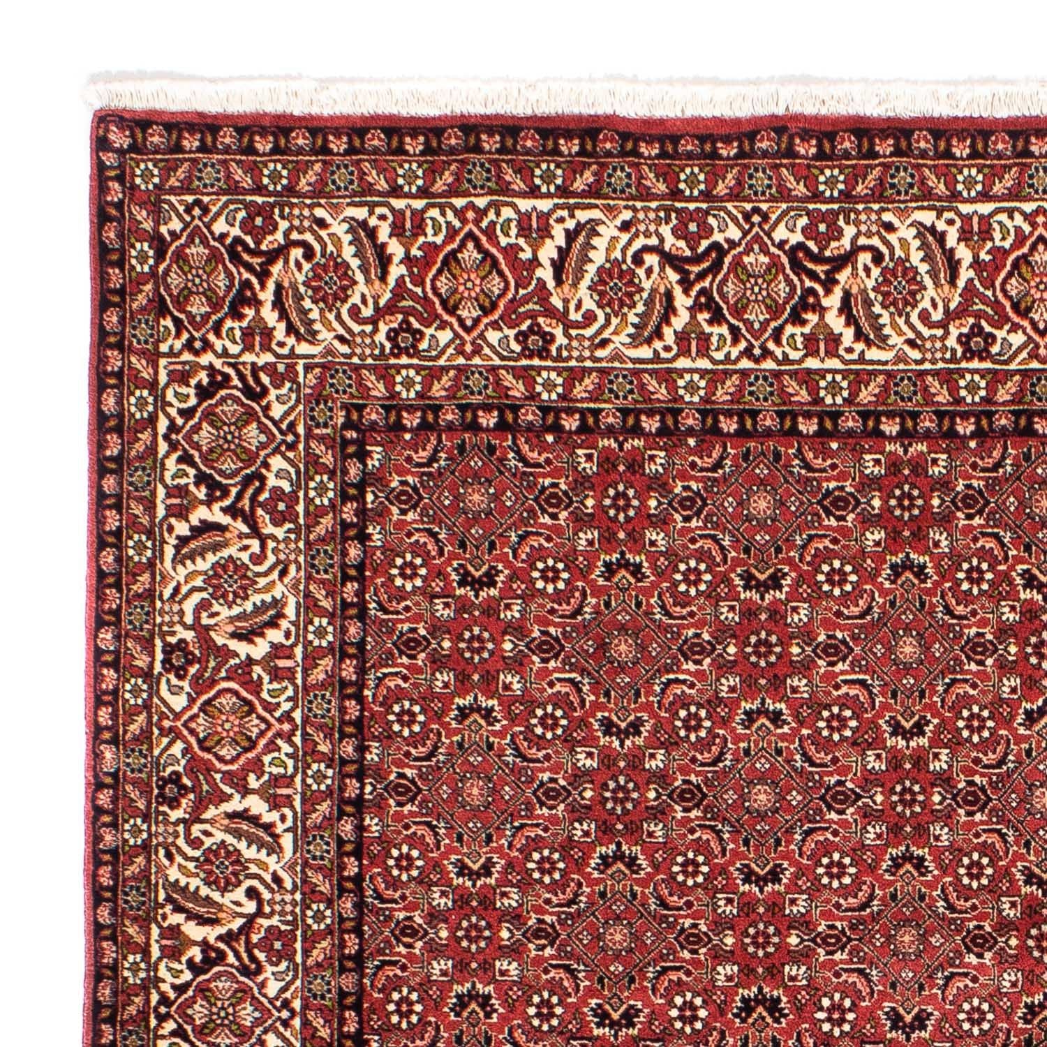 Alfombra persa - Bidjar cuadrado  - 208 x 200 cm - rojo claro