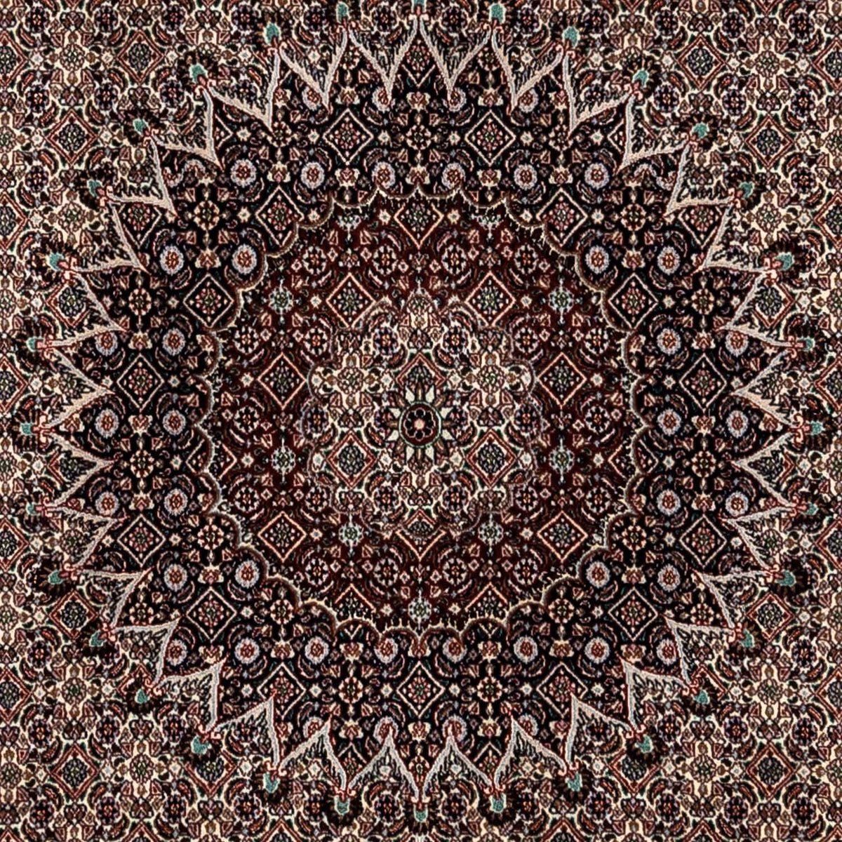 Alfombra persa - Clásica - 345 x 253 cm - beige
