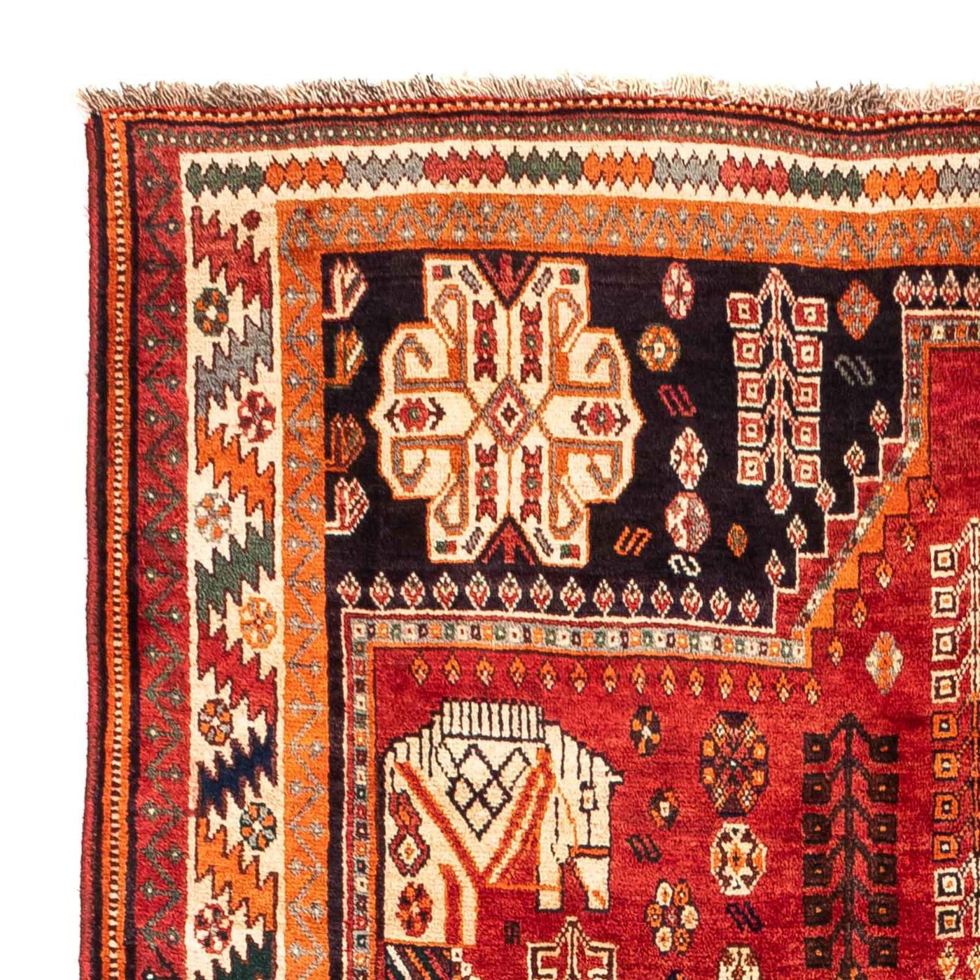 Shiraz Alfombra 240x167cm - Alfombra persa