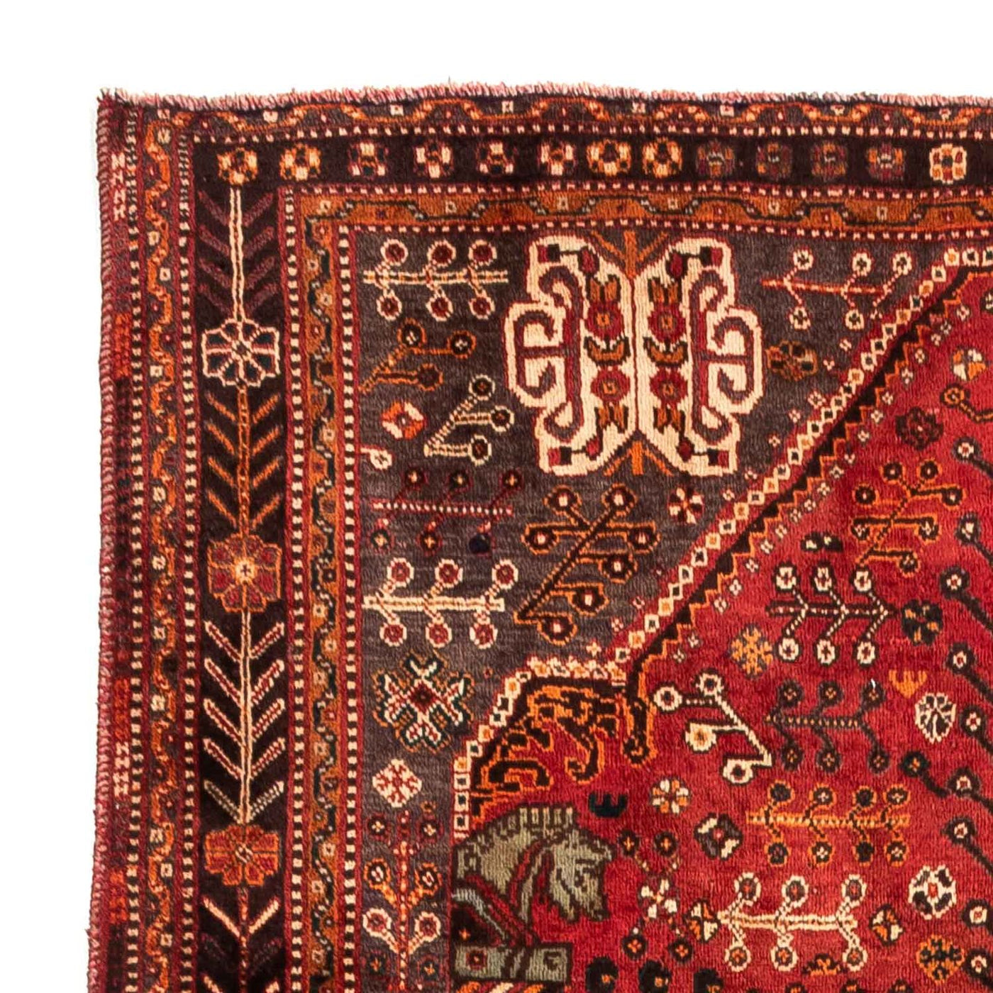 Shiraz Alfombra 253x160cm - Alfombra persa