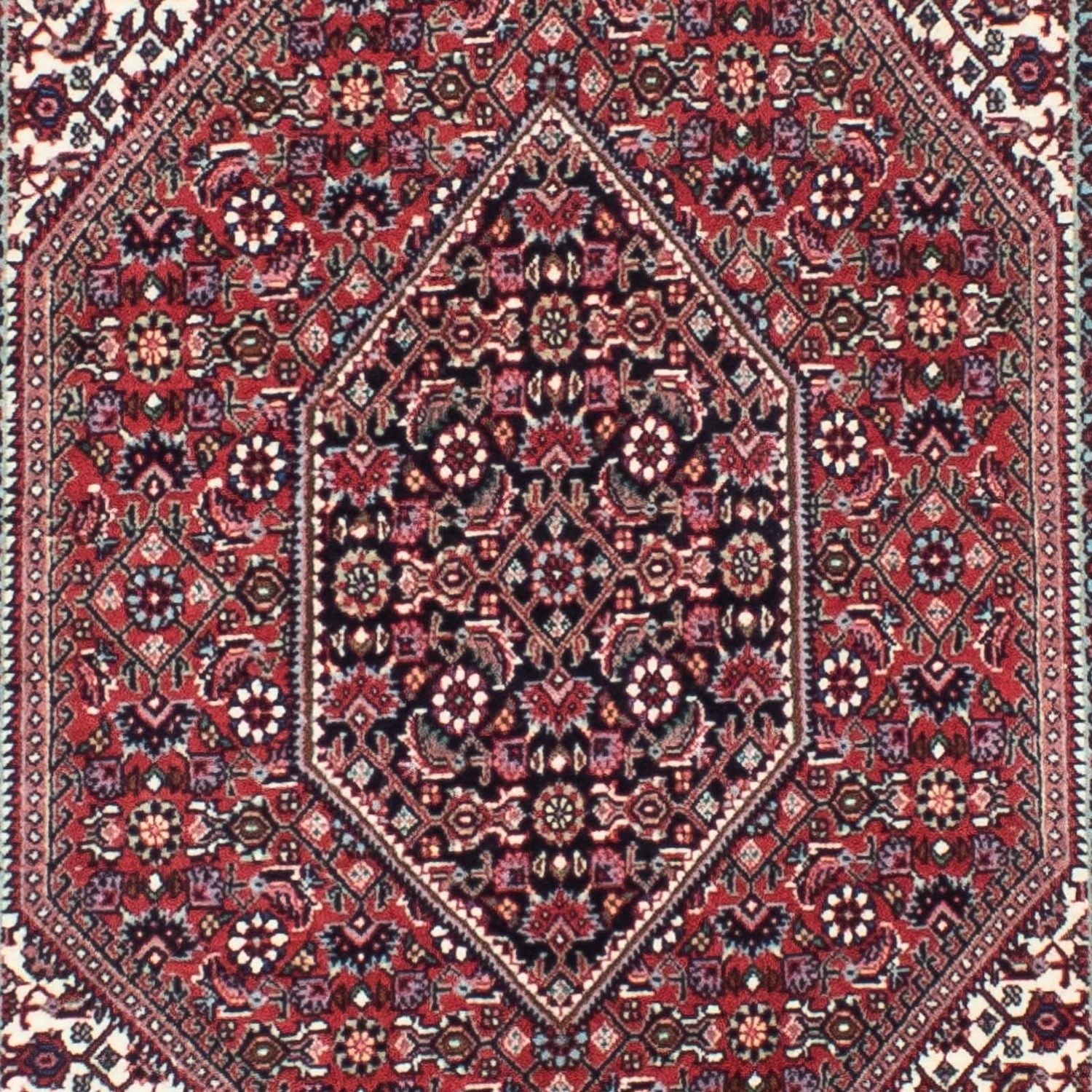 Alfombra de pasillo Alfombra persa - Bidjar - 316 x 82 cm - rojo