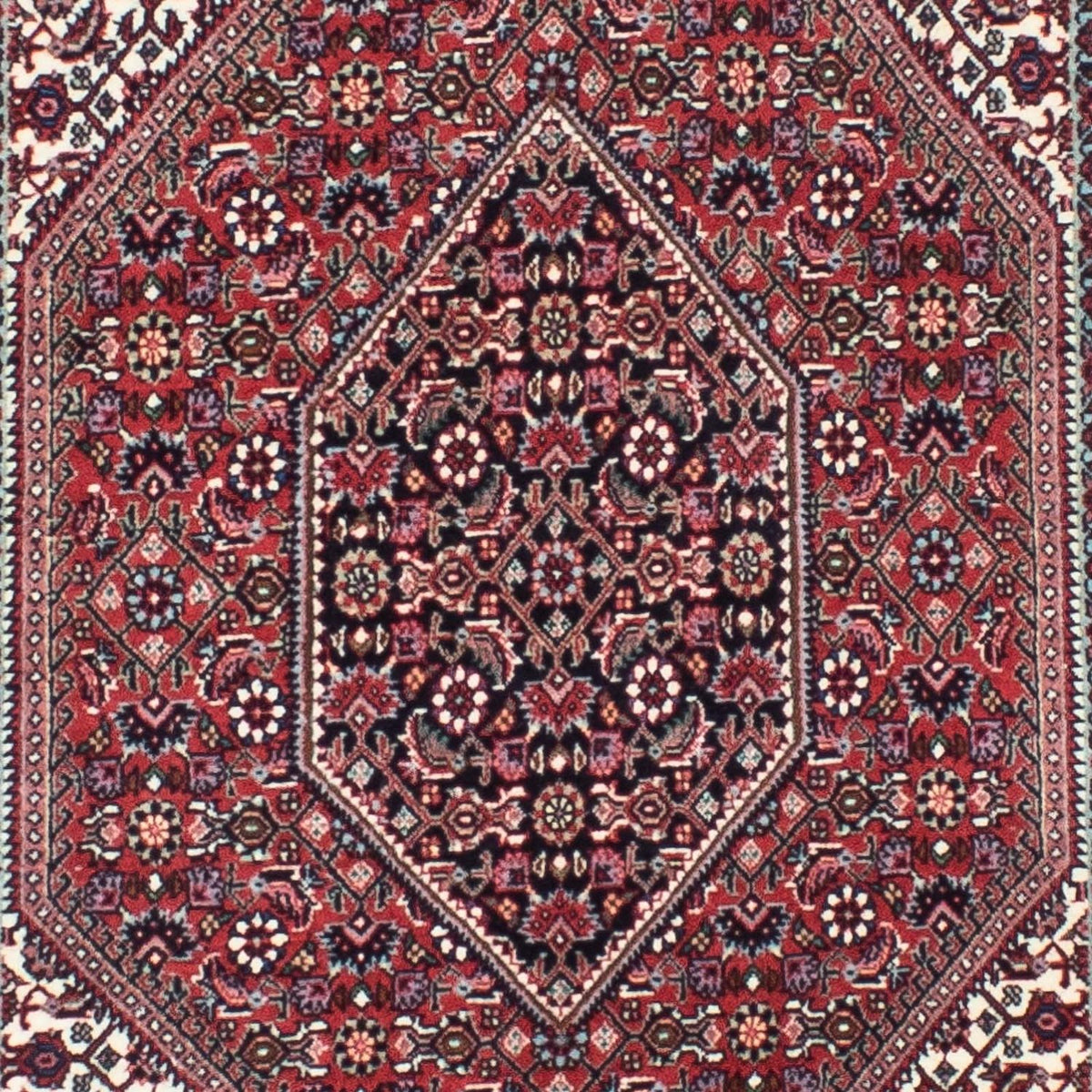 Alfombra de pasillo Alfombra persa - Bidjar - 316 x 82 cm - rojo