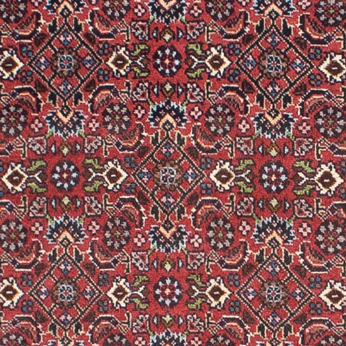 Alfombra de pasillo Alfombra persa - Bidjar - 243 x 68 cm - rojo claro