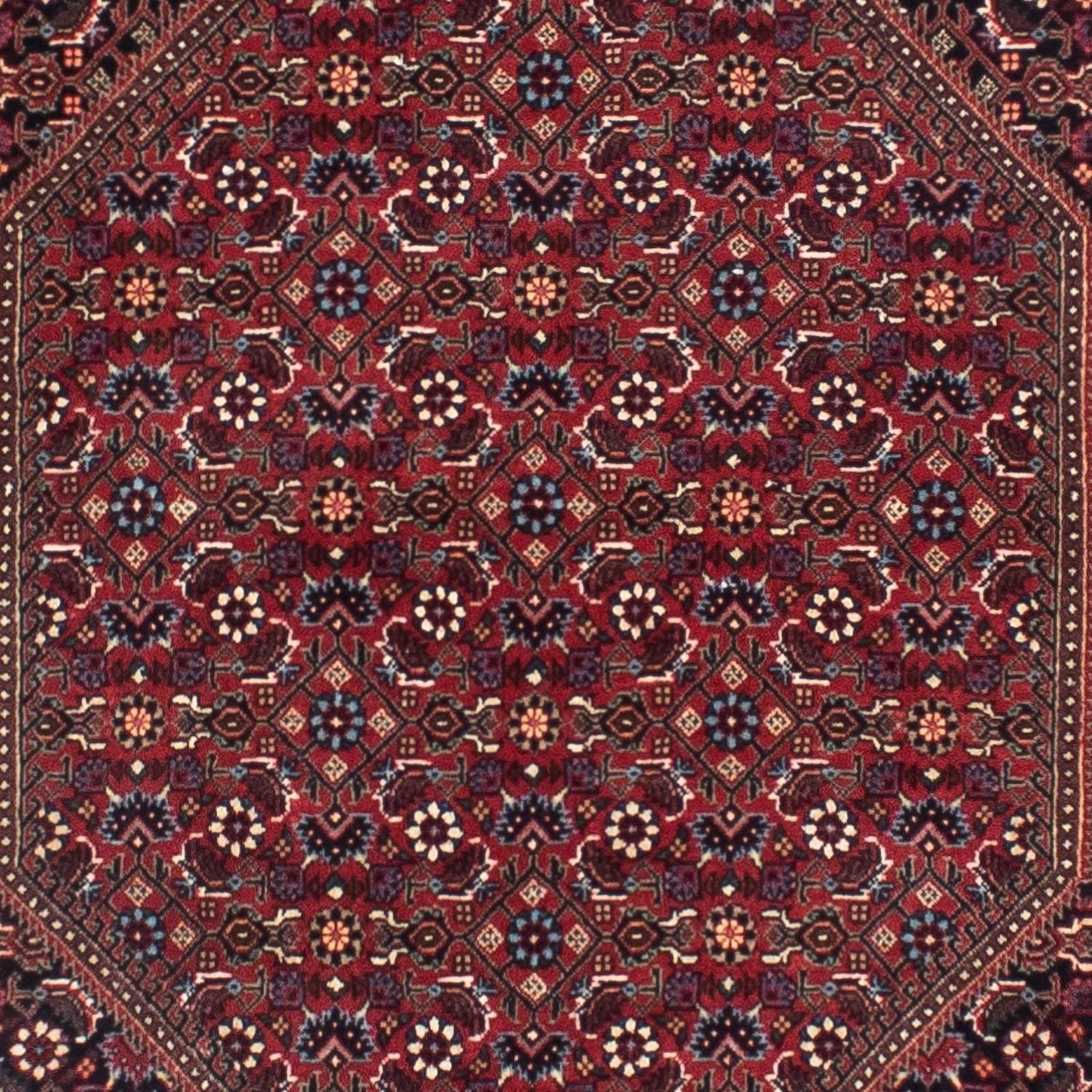 Alfombra de pasillo Alfombra persa - Bidjar - 306 x 85 cm - óxido