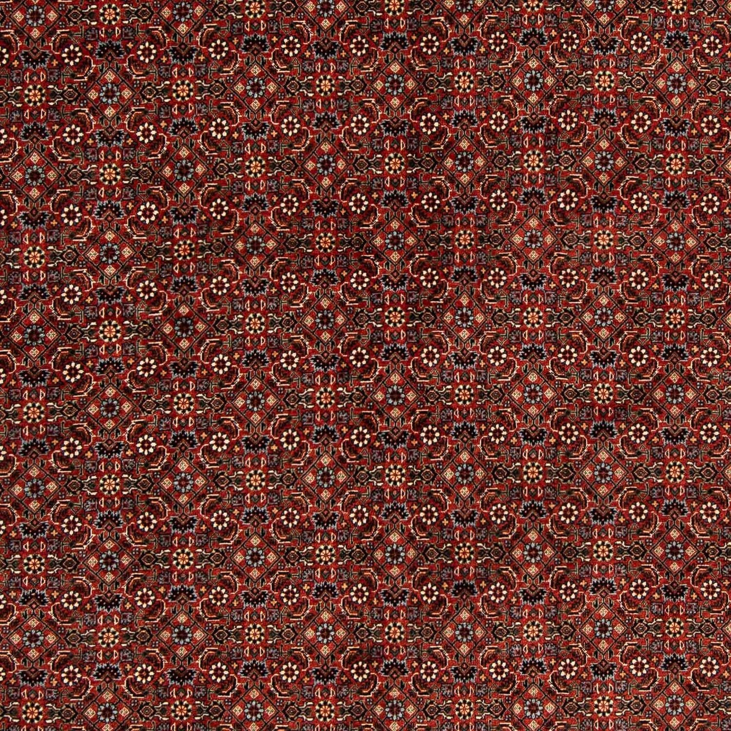 Alfombra persa - Bidjar cuadrado  - 203 x 197 cm - rojo oscuro