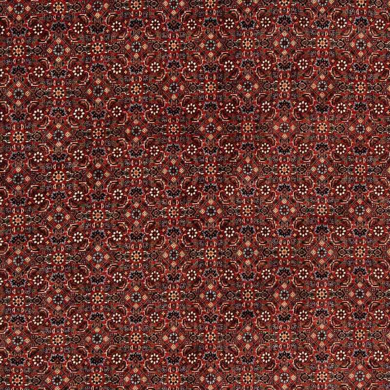 Alfombra persa - Bidjar cuadrado  - 203 x 197 cm - rojo oscuro