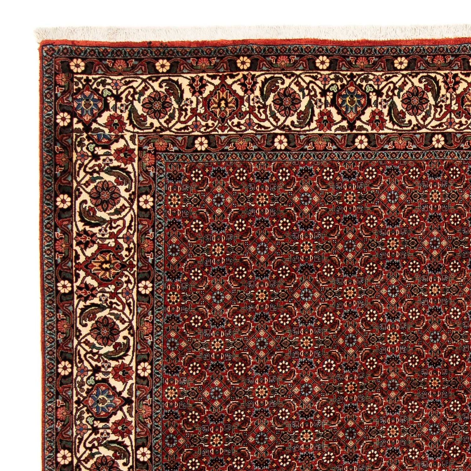 Alfombra persa - Bidjar cuadrado  - 203 x 197 cm - rojo oscuro