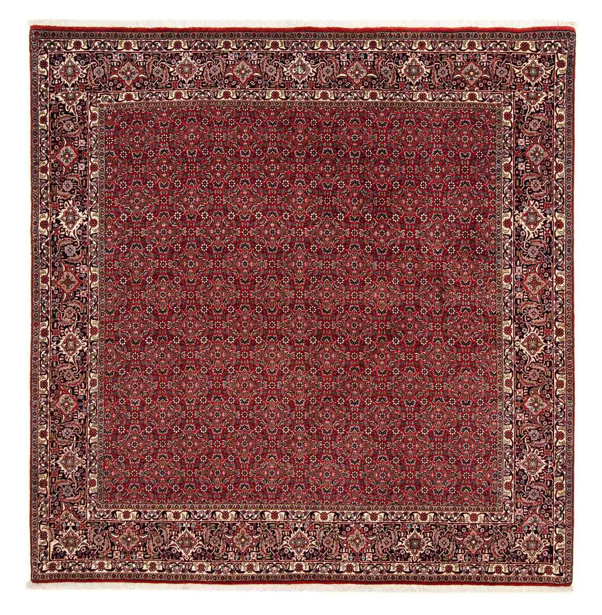 Alfombra persa - Bidjar cuadrado  - 205 x 205 cm - rojo oscuro