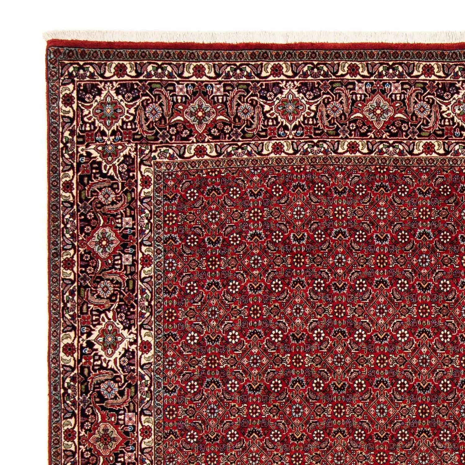 Alfombra persa - Bidjar cuadrado  - 205 x 205 cm - rojo oscuro
