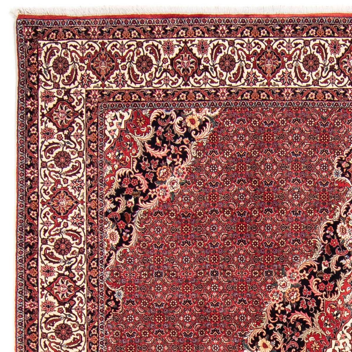 Bidjar Alfombra 253x253cm - Alfombra persa