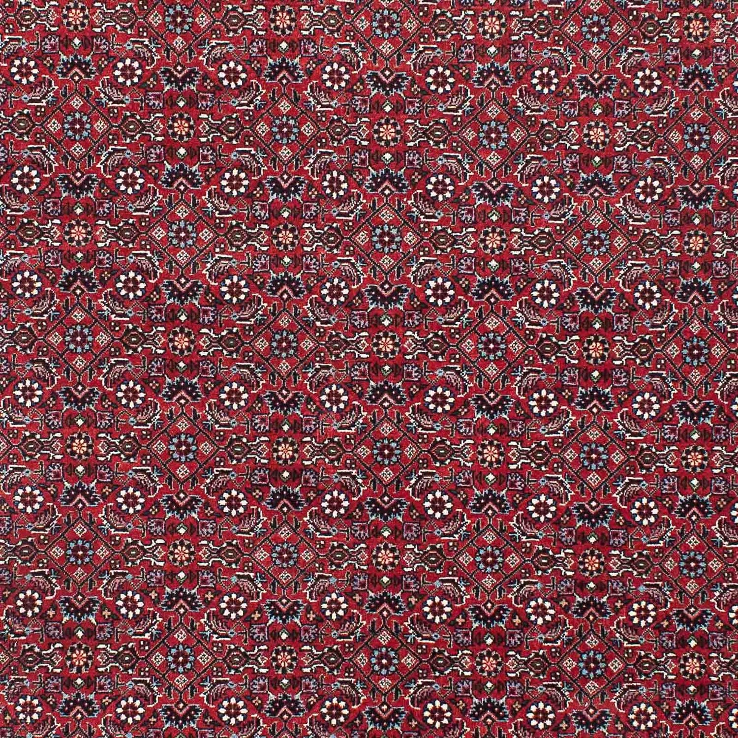 Alfombra persa - Bidjar - 209 x 132 cm - rojo