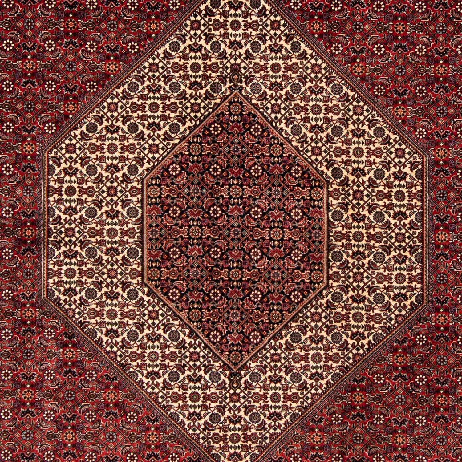 Alfombra persa - Bidjar - 261 x 206 cm - rojo oscuro