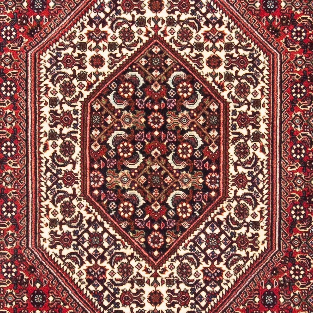Alfombra persa - Bidjar - 160 x 90 cm - rojo