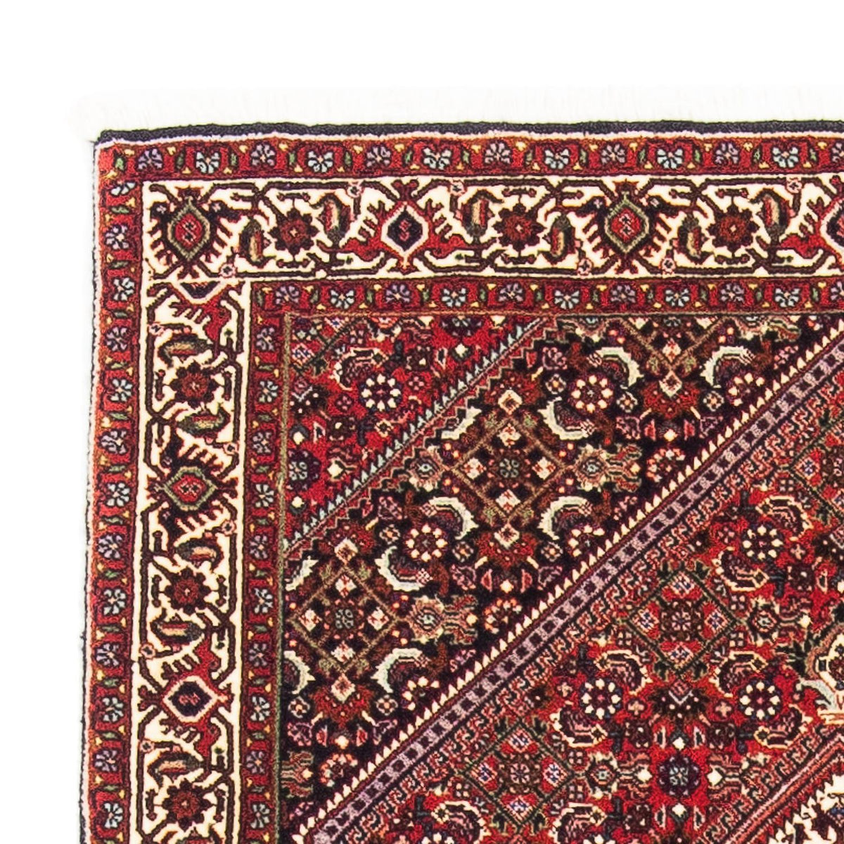 Bidjar Alfombra 90x160cm - Alfombra persa