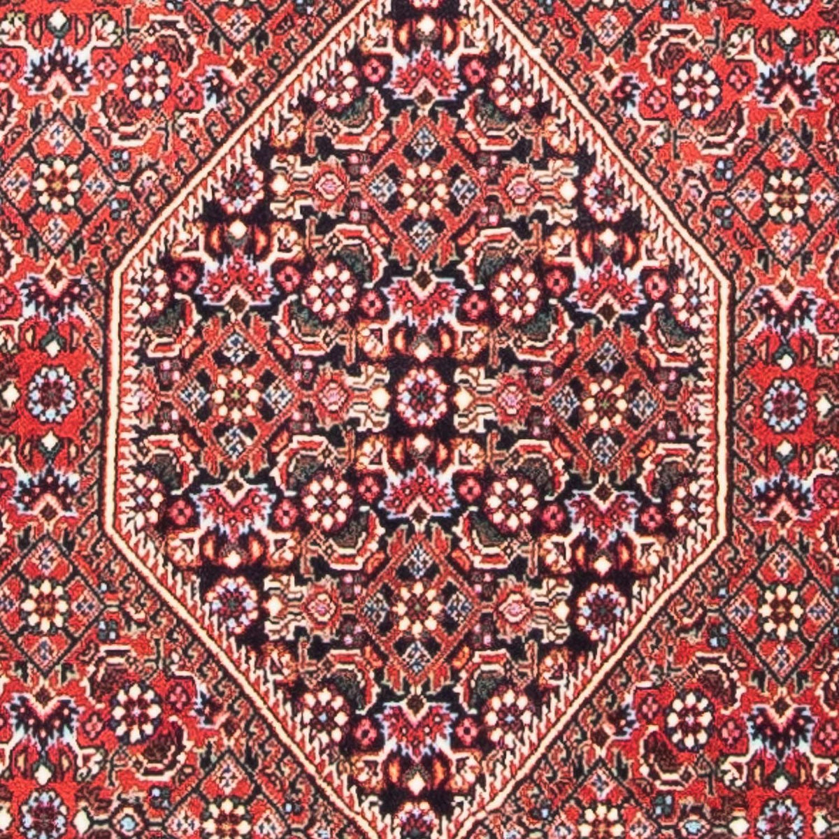 Alfombra persa - Bidjar - 142 x 70 cm - rojo