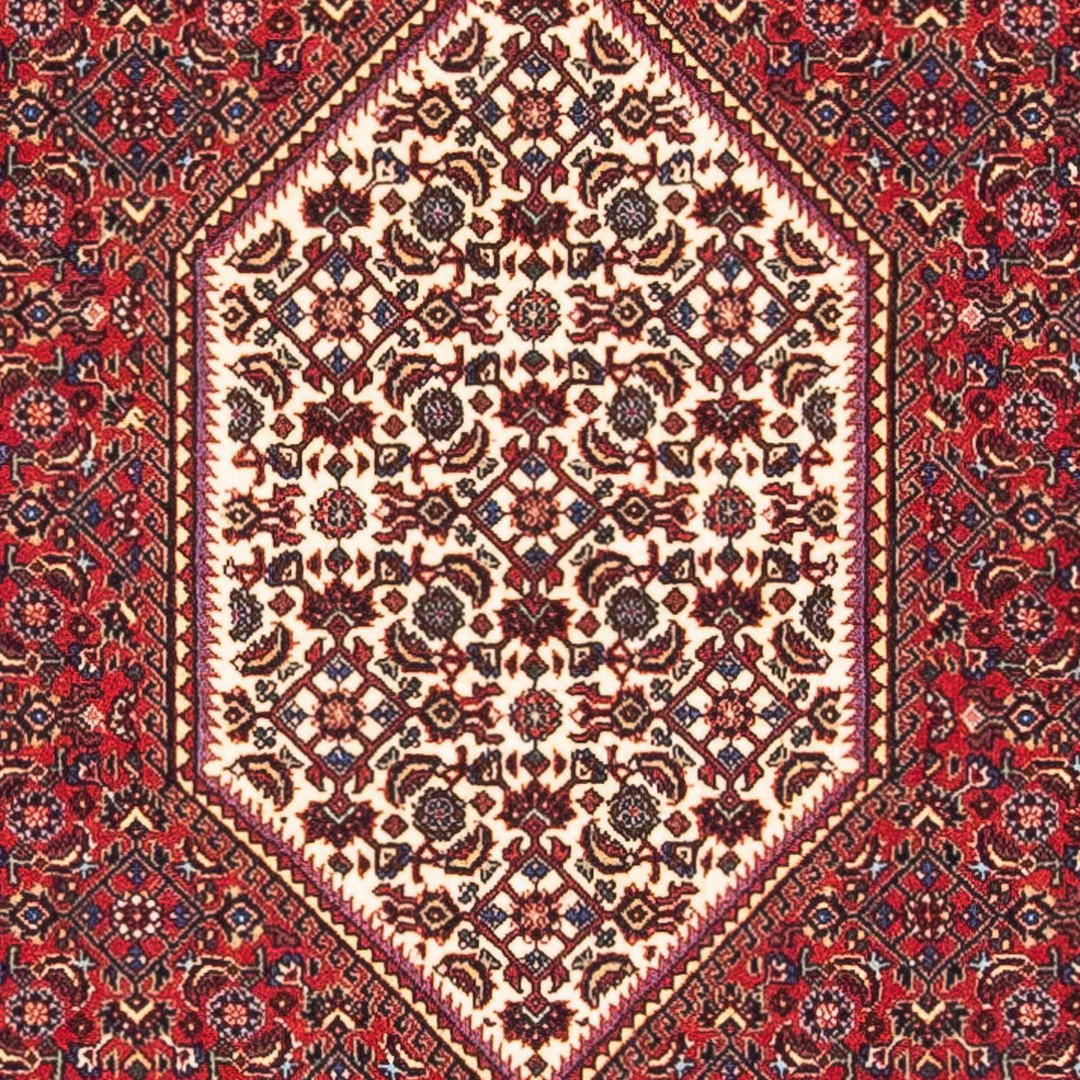 Alfombra persa - Bidjar - 148 x 81 cm - rojo