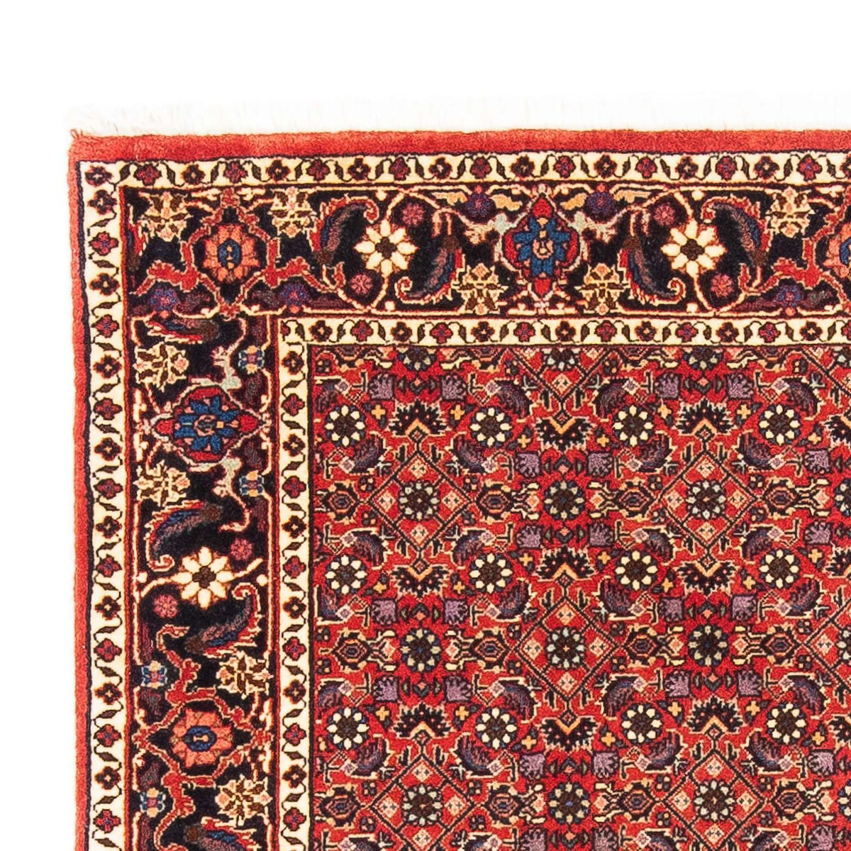 Bidjar Alfombra 114x183cm - Alfombra persa