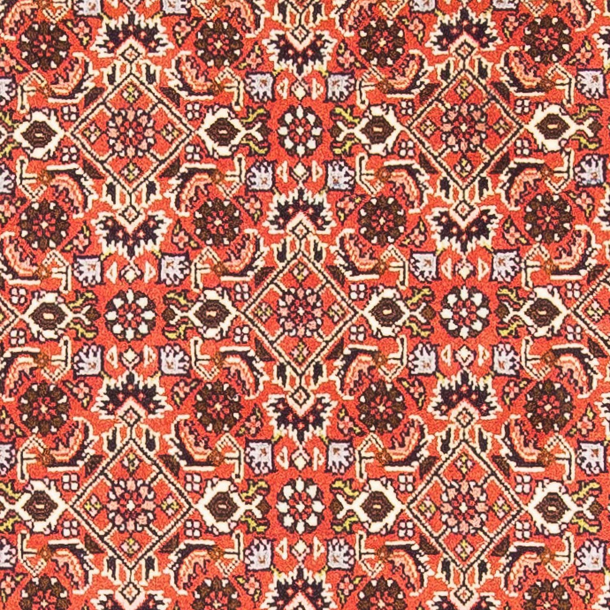 Alfombra persa - Bidjar - 148 x 84 cm - rojo