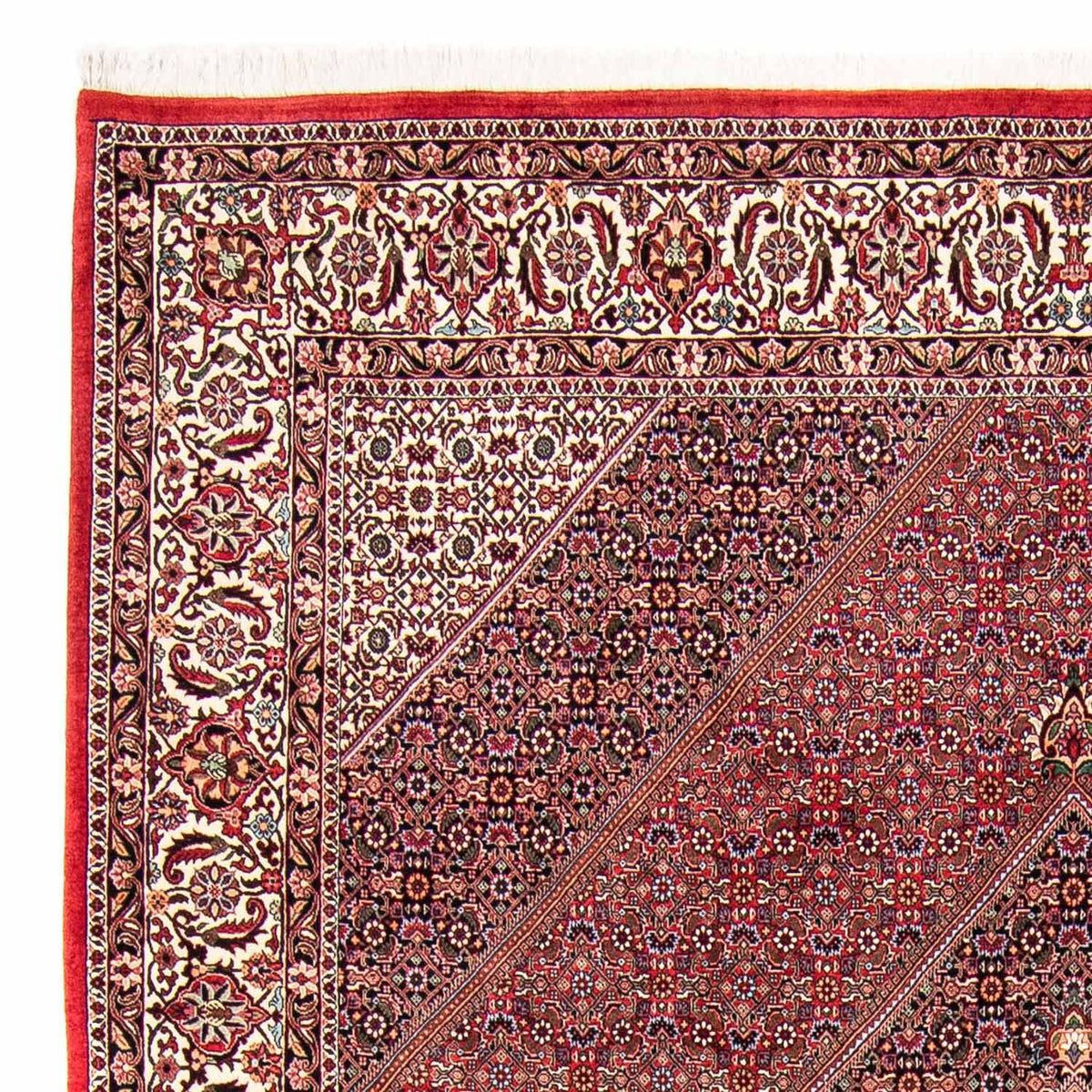 Bidjar Alfombra 258x298cm - Alfombra persa